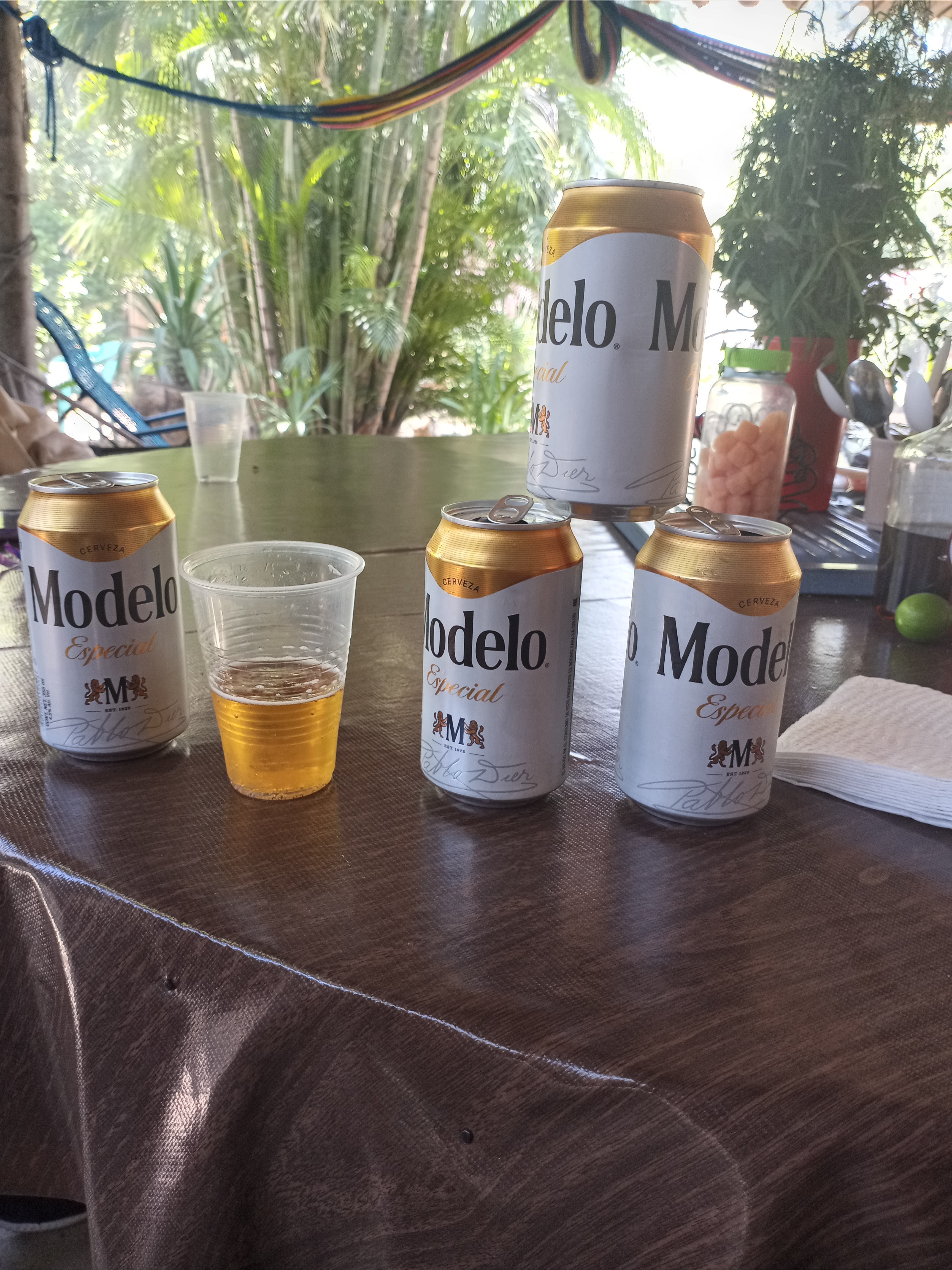 Restaurante Antojitos Vivero Santa Cruz image 5