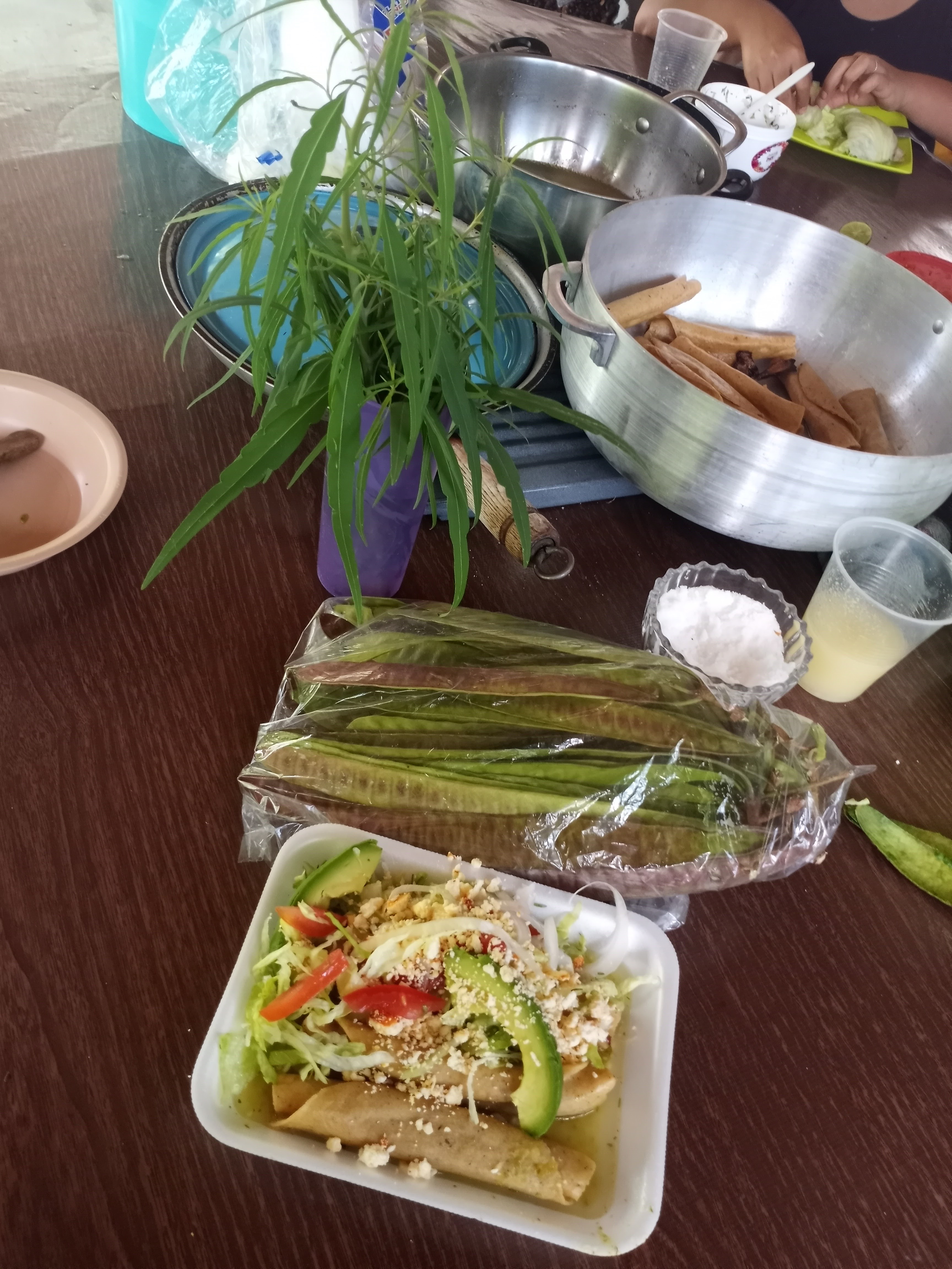 Restaurante Antojitos Vivero Santa Cruz image 7