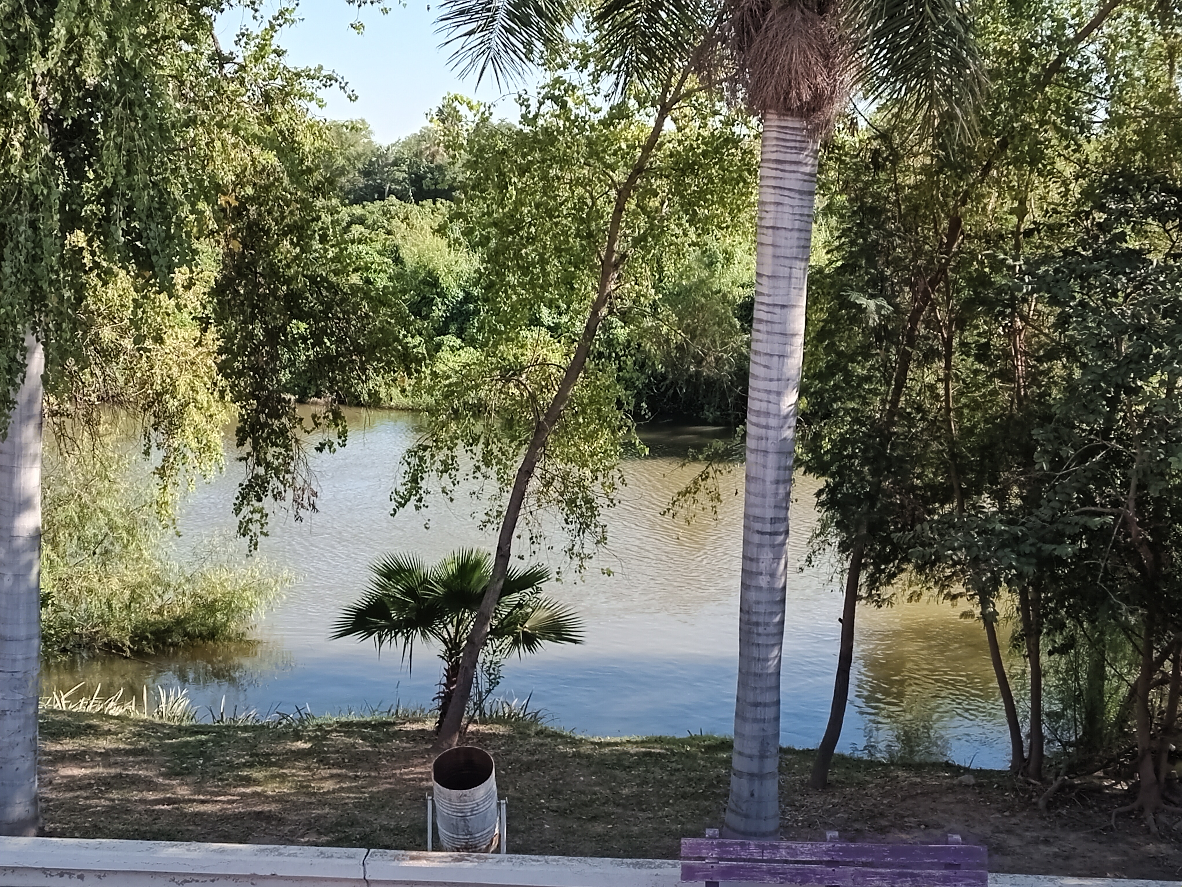 Restaurant Malecón image 9