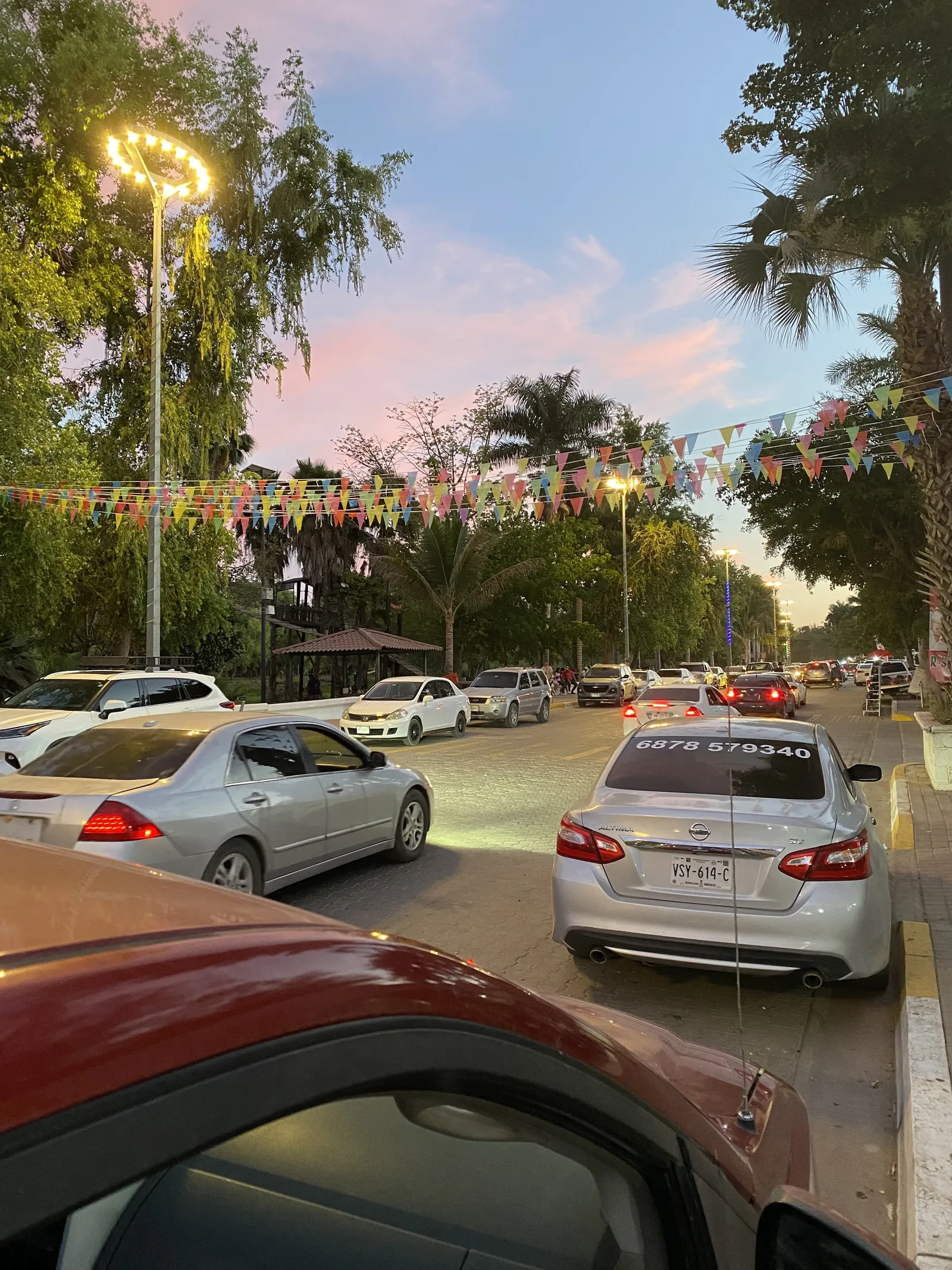 Sinaloa de Leyva image 3
