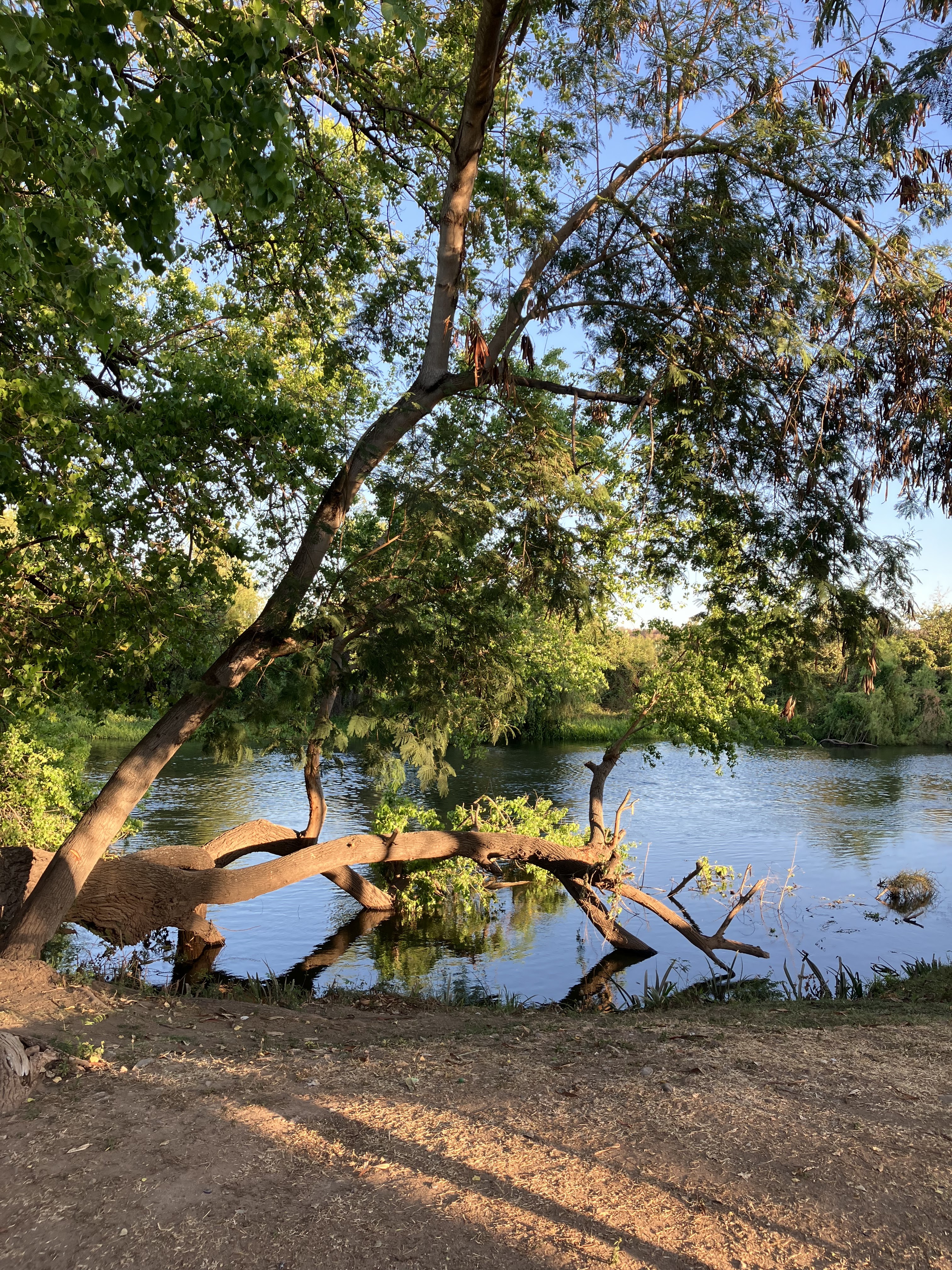 Sinaloa de Leyva image 6