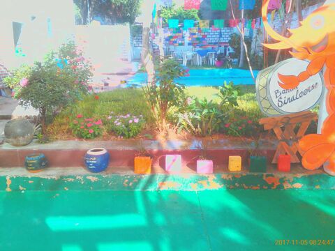 Las Trancas image 6