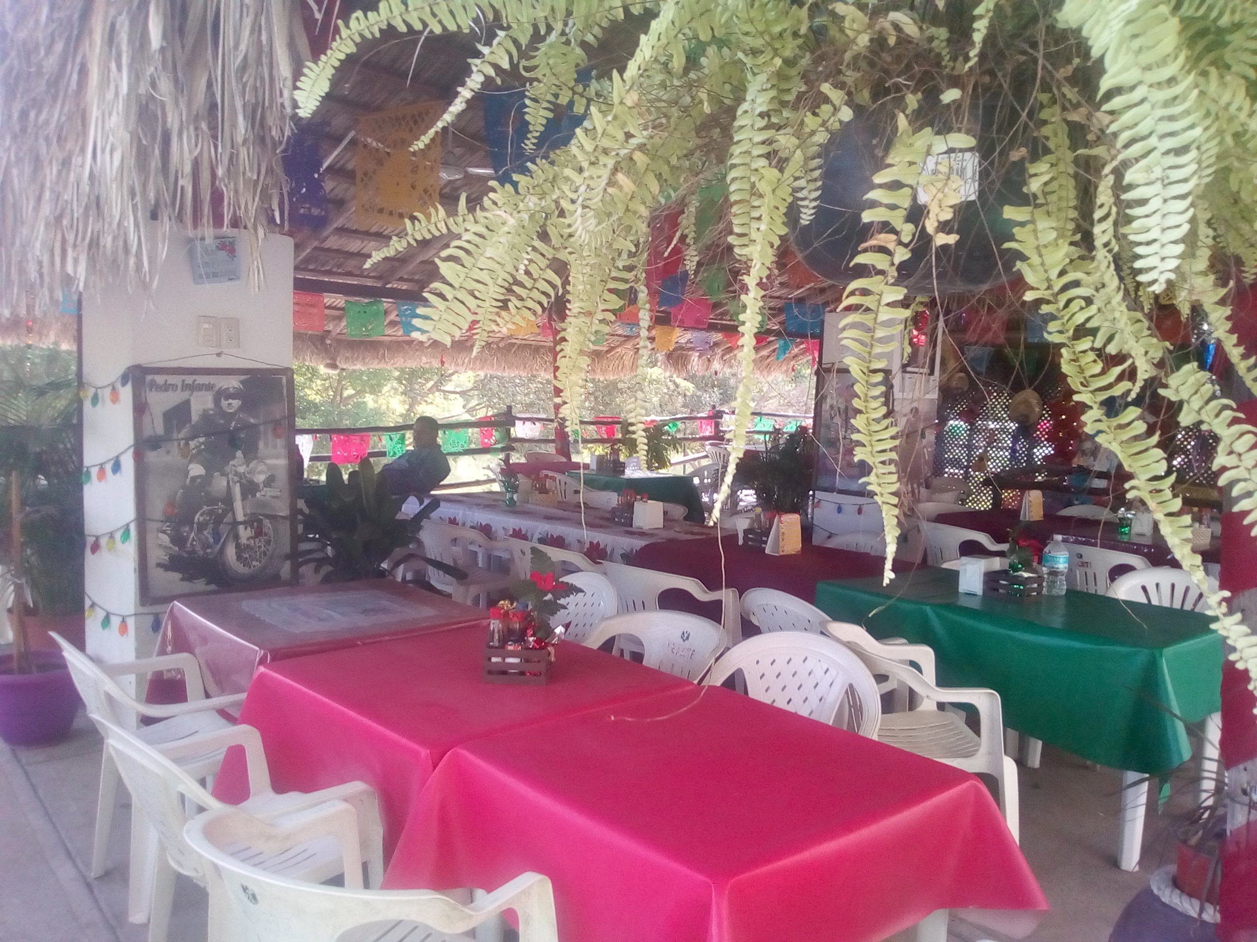 Las Trancas image 10