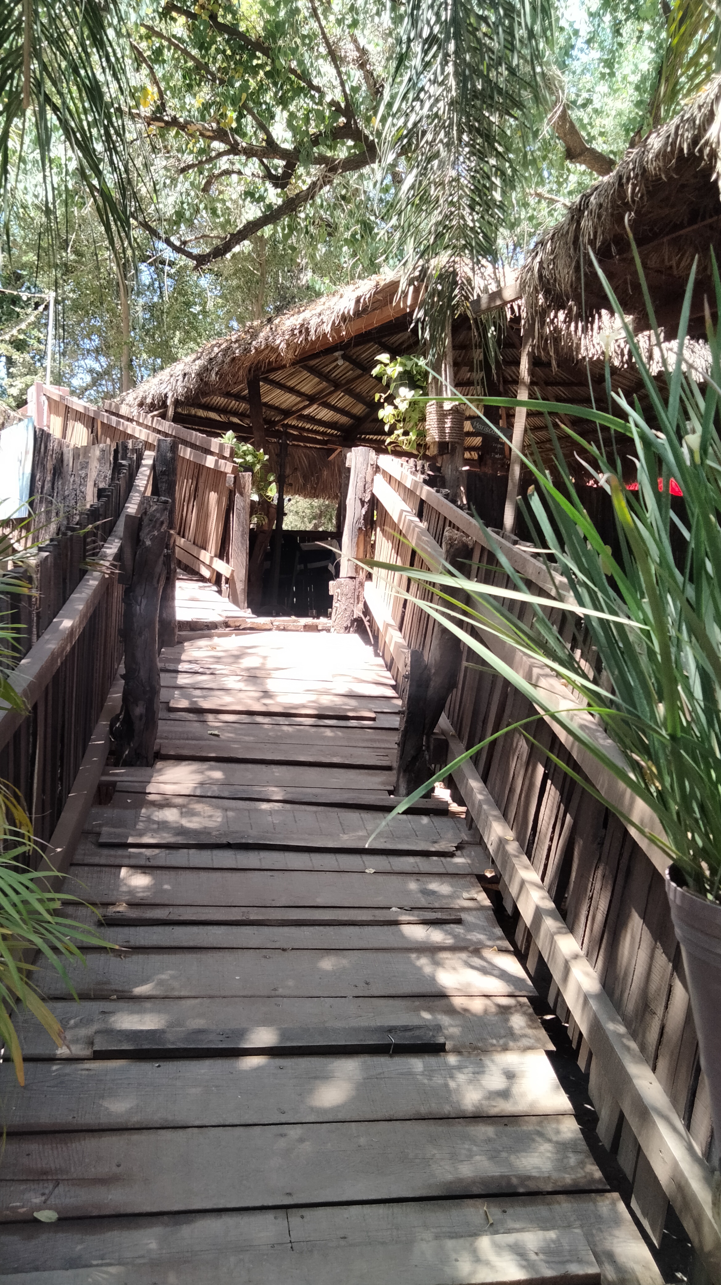 Mariscos Mi Champion image 6