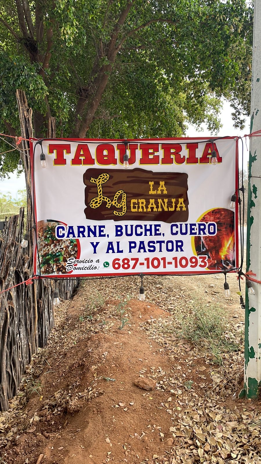 Taquería LA GRANJA image 10