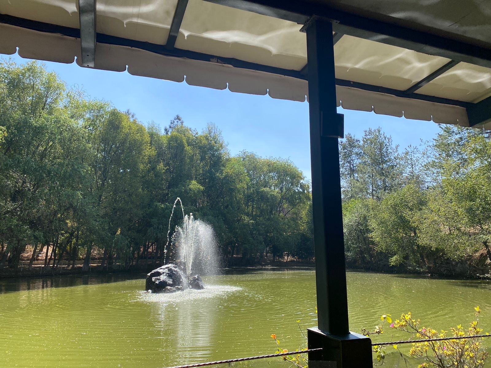 Restaurante La Bahia Rio Hondo image 4