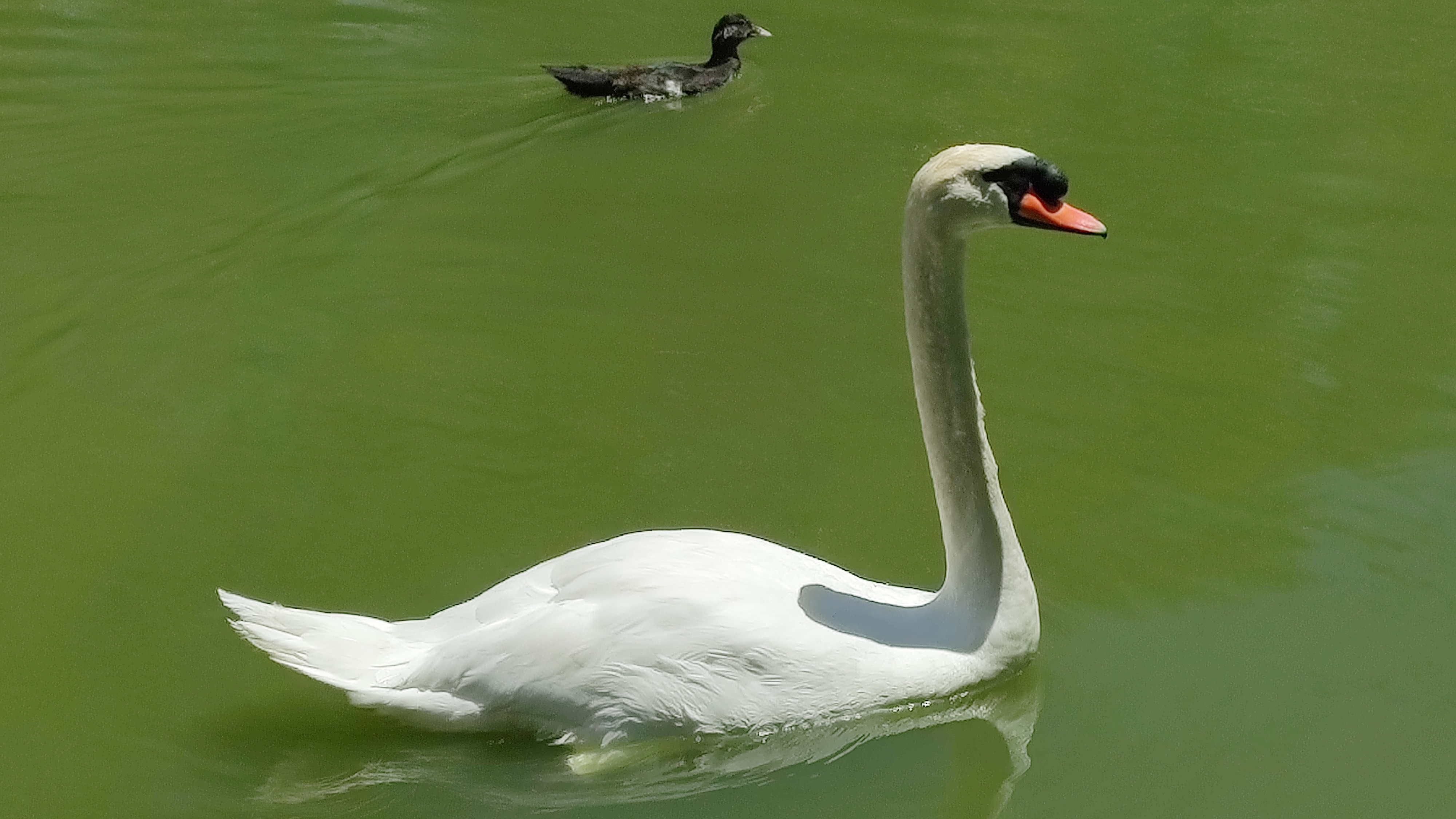 Restaurante La Bahia Rio Hondo image 5