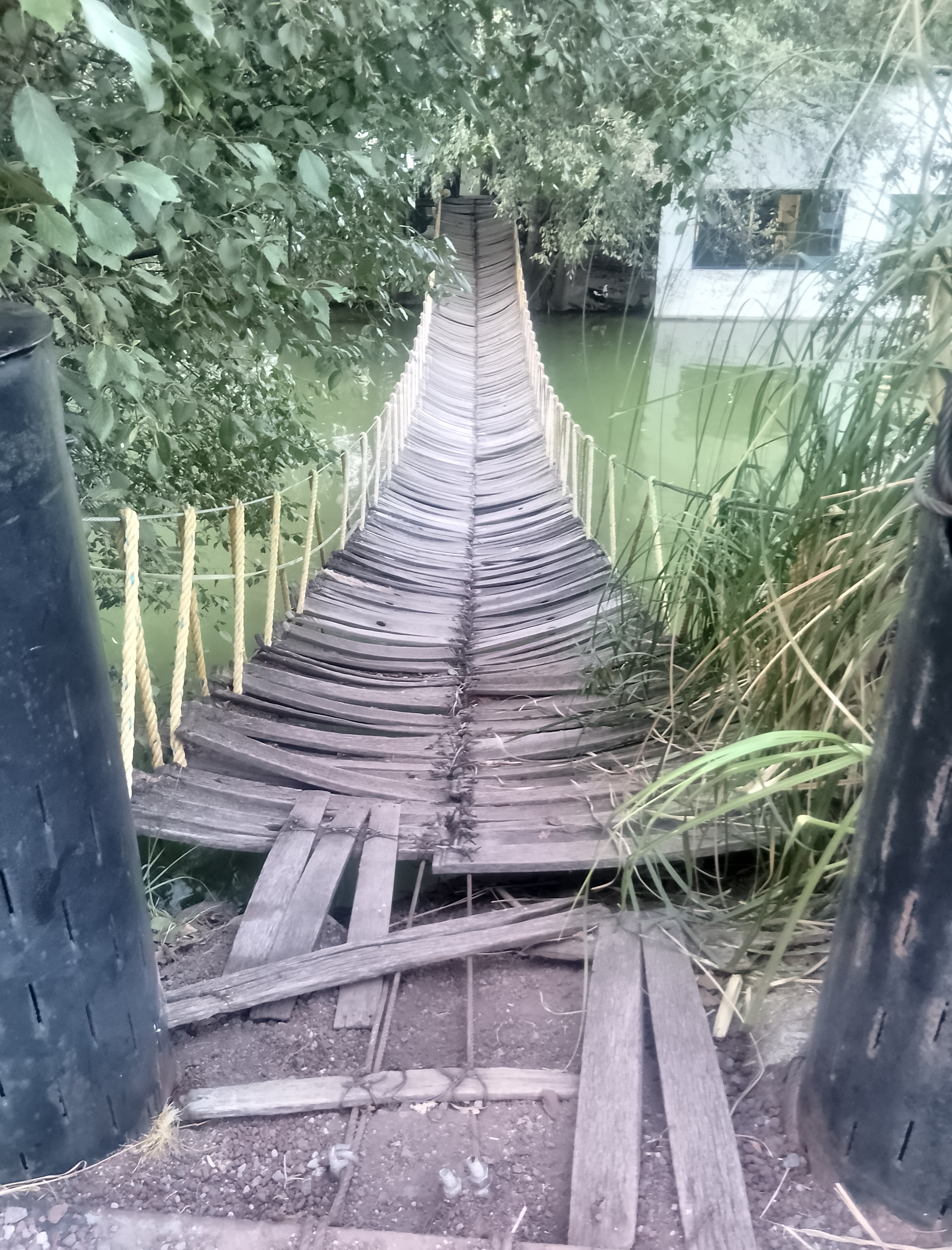 Restaurante La Bahia Rio Hondo image 6