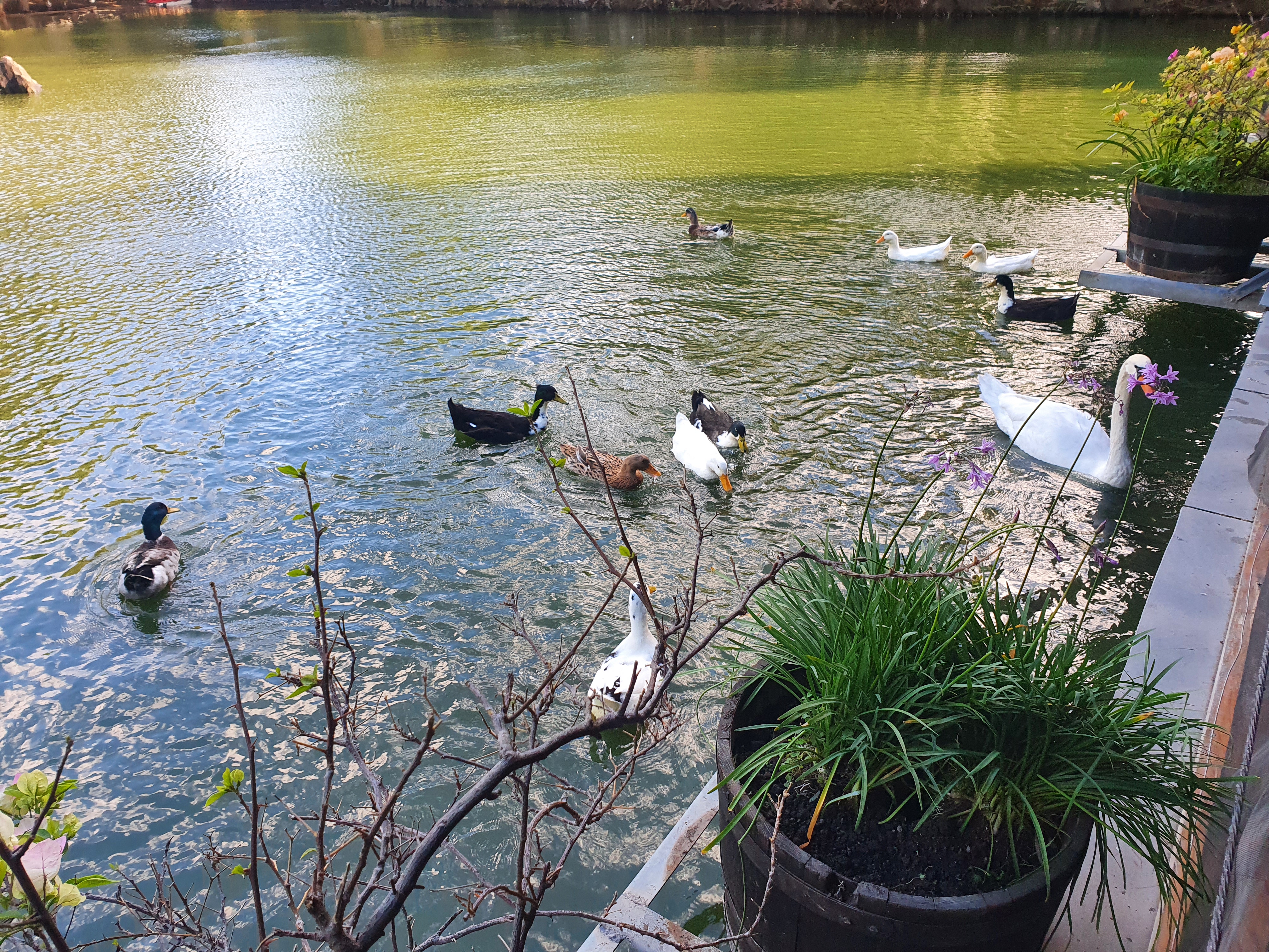Restaurante La Bahia Rio Hondo image 8