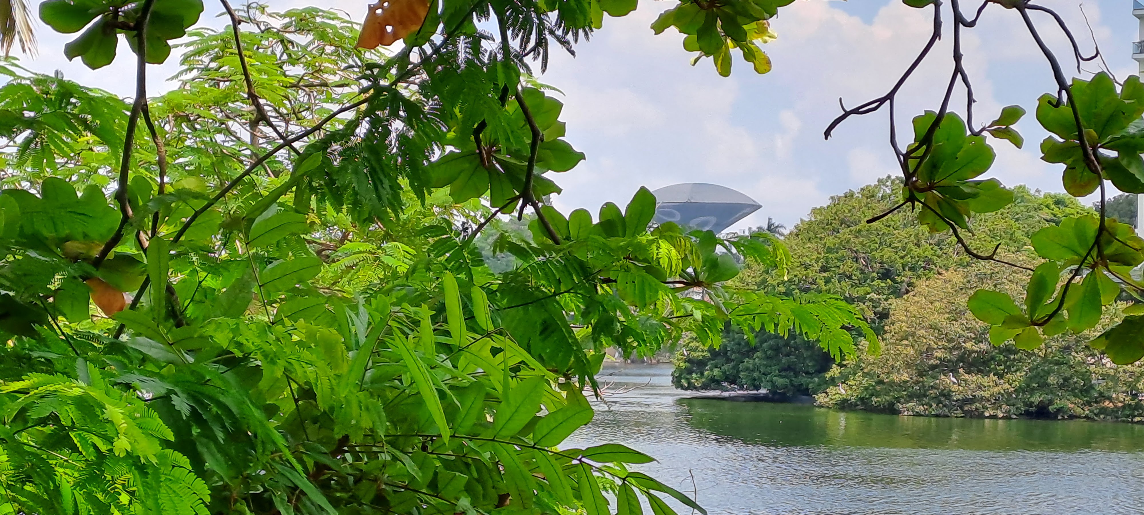 Restaurante el sazon de la choca image 9