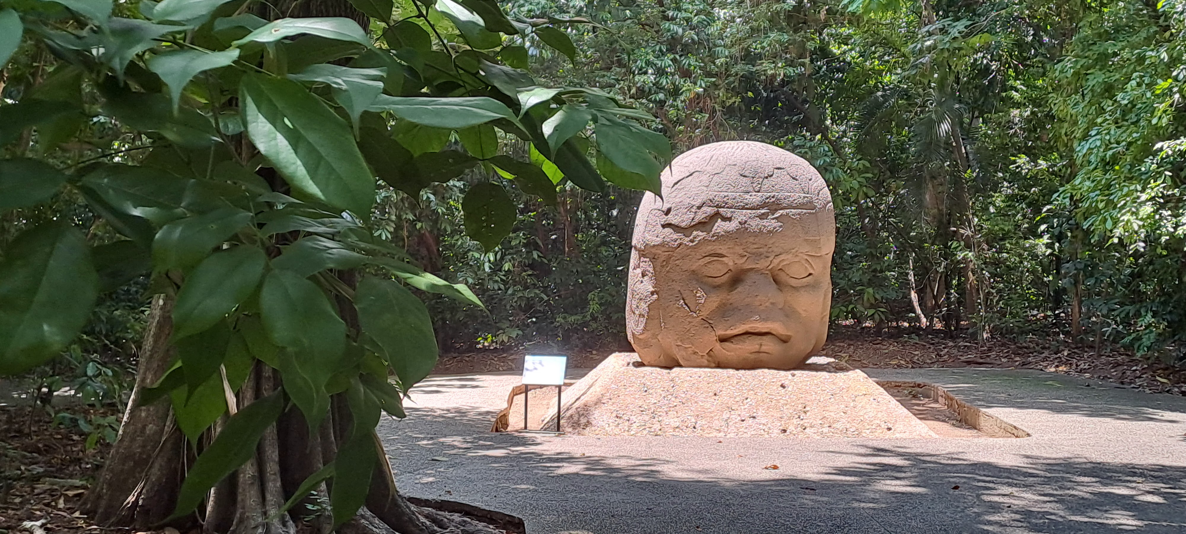 Restaurante el sazon de la choca image 10