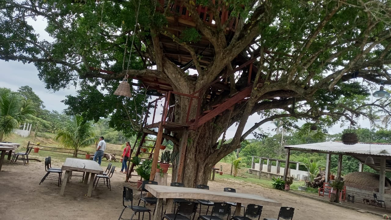 Pizzeria la casita del Arbol image 1