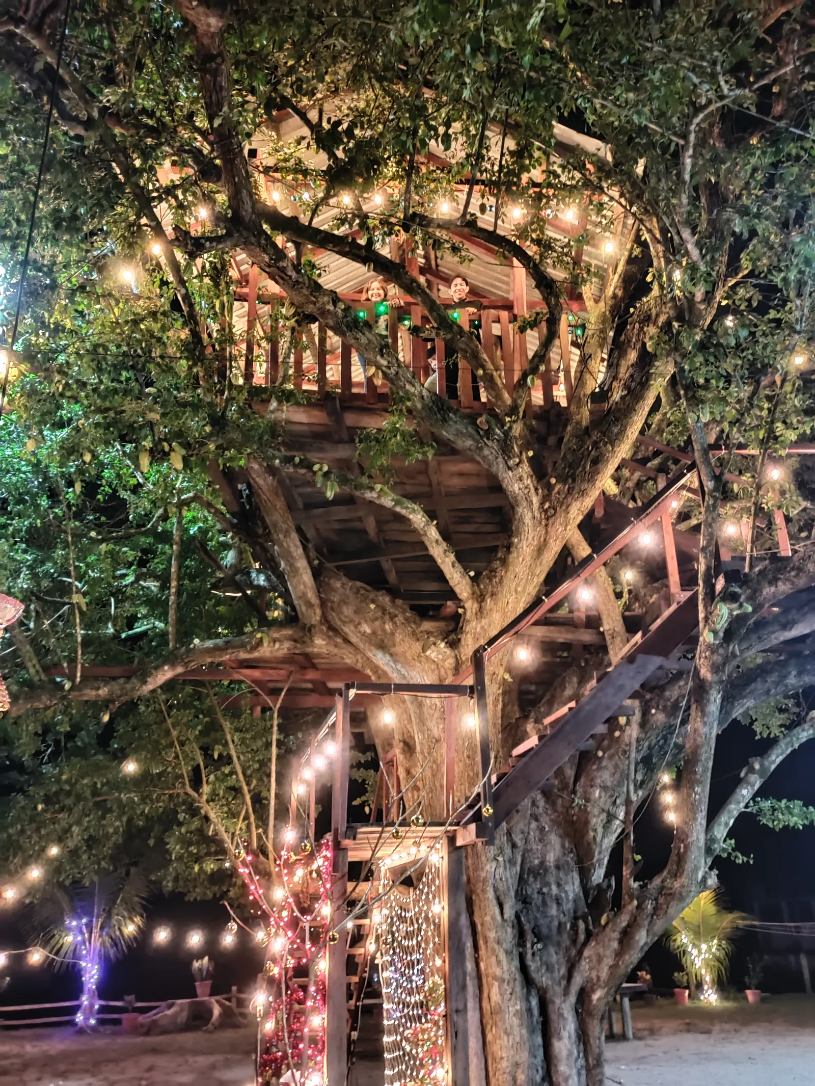 Pizzeria la casita del Arbol image 2