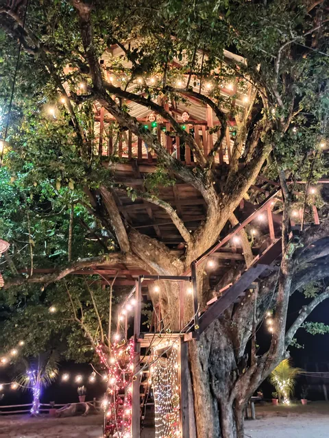 Pizzeria la casita del Arbol image 2