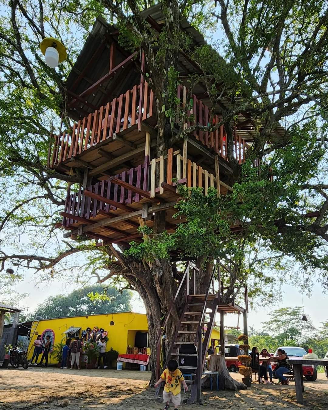 Pizzeria la casita del Arbol image 3