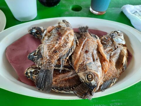 Mariscos el crucero image 3