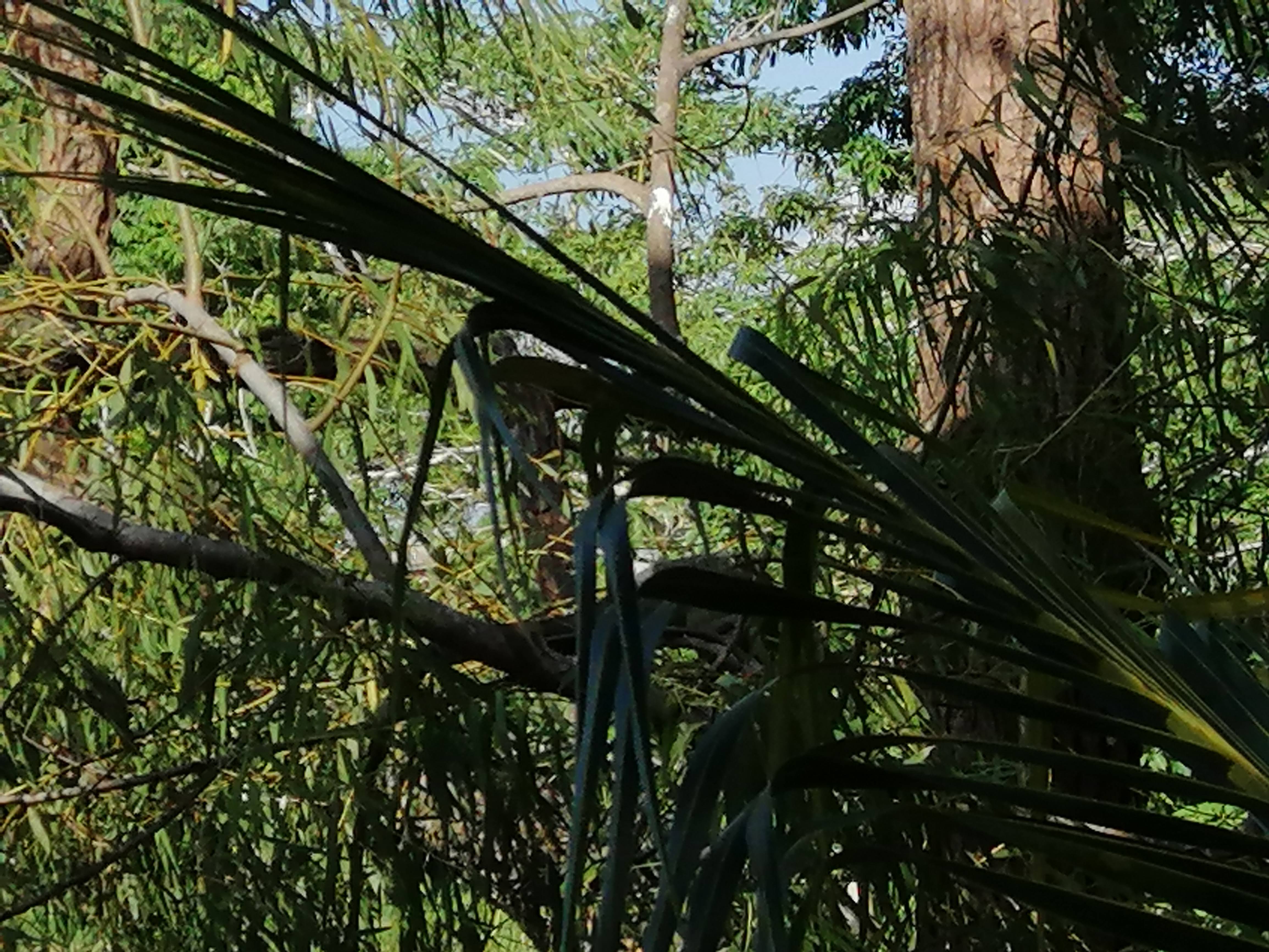 Restaurante Punta del Este image 10