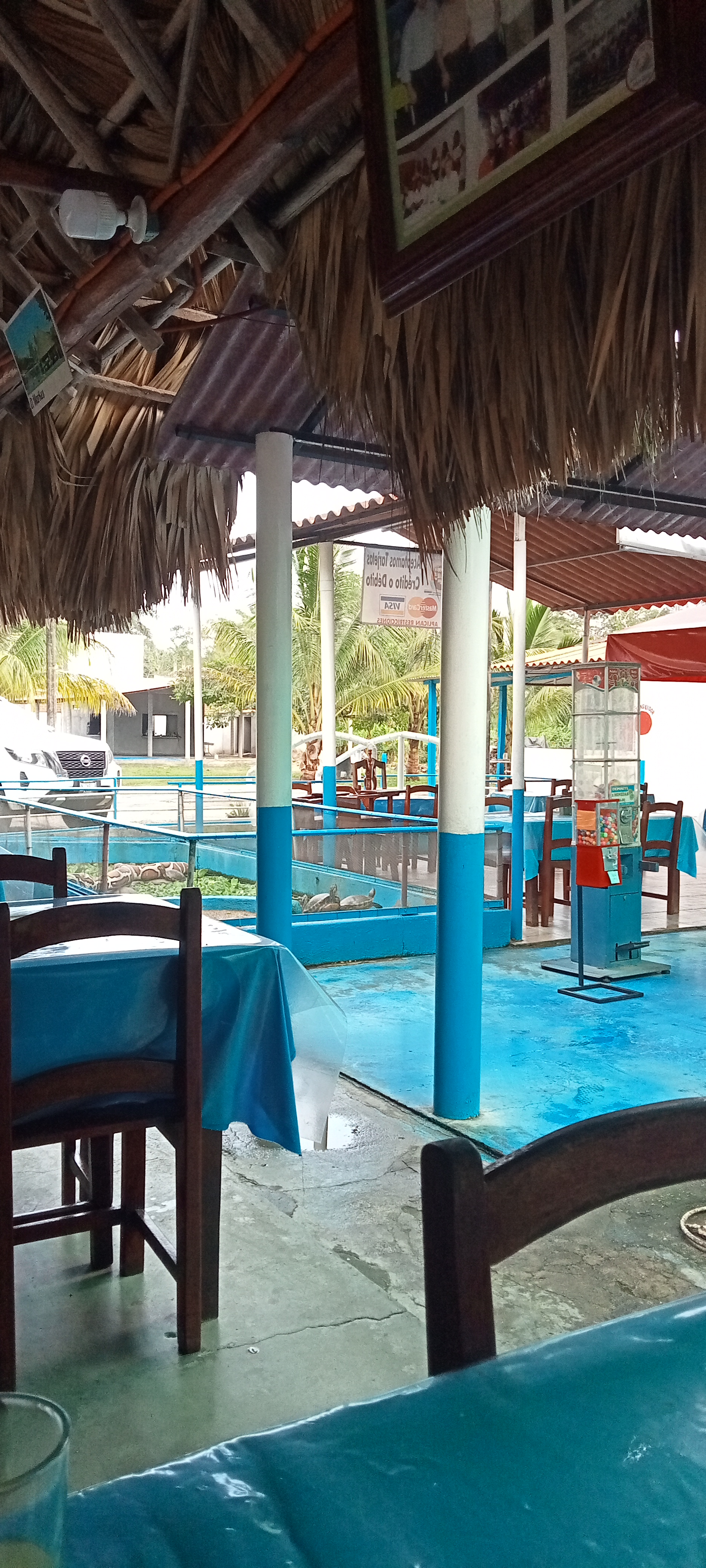 Restaurante MARKEZ image 6