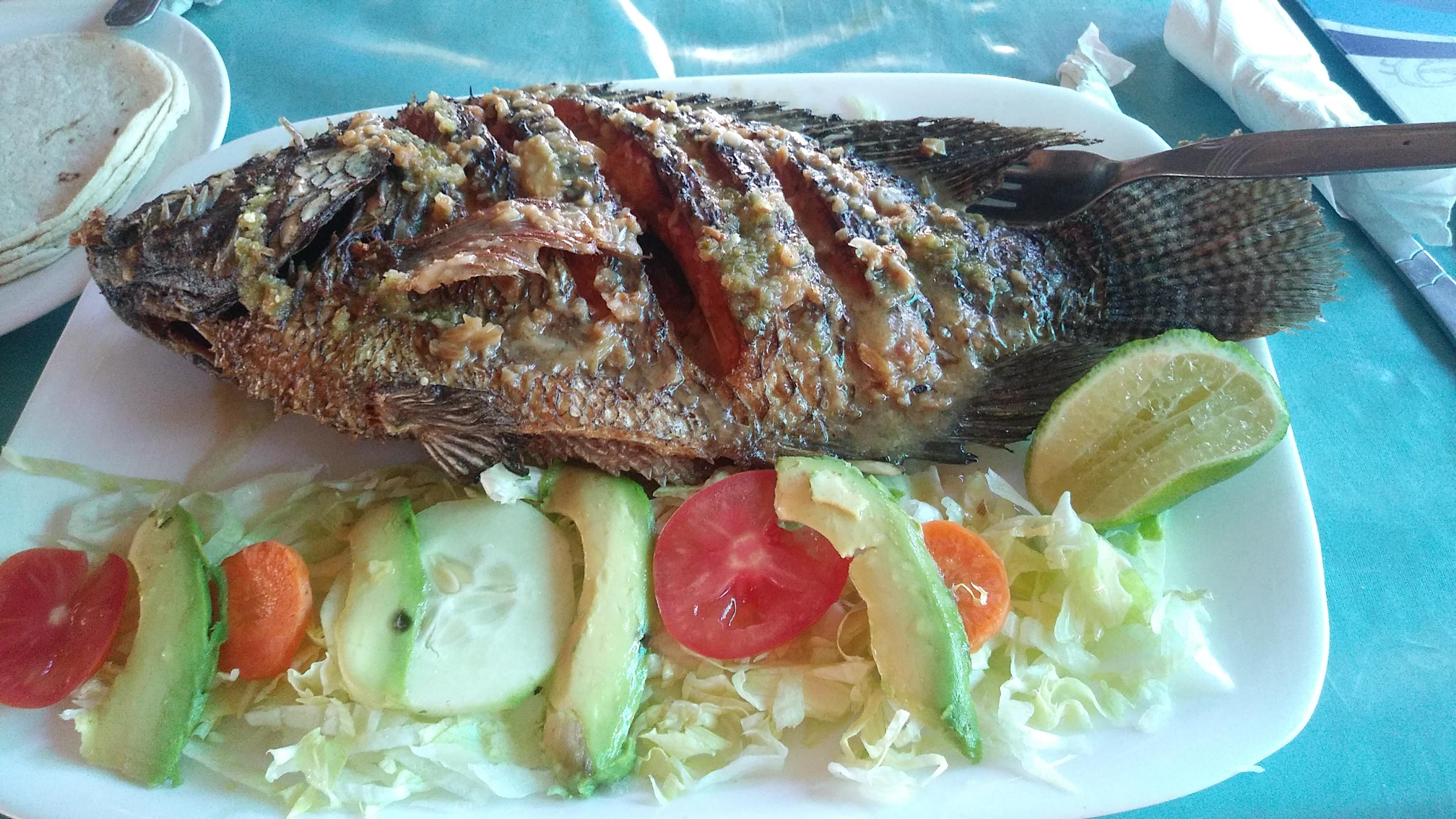 Restaurante MARKEZ image 7