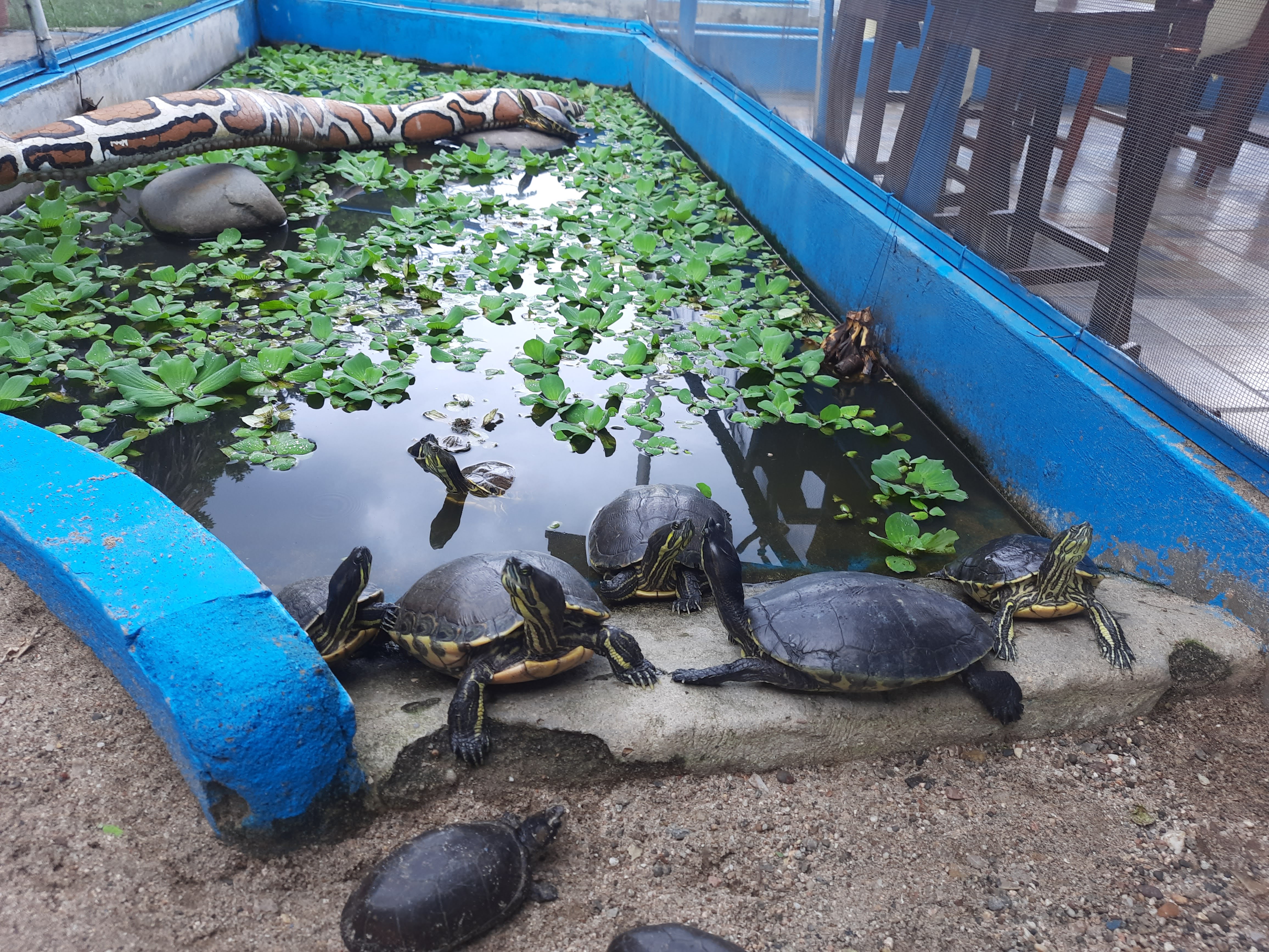 Restaurante MARKEZ image 9