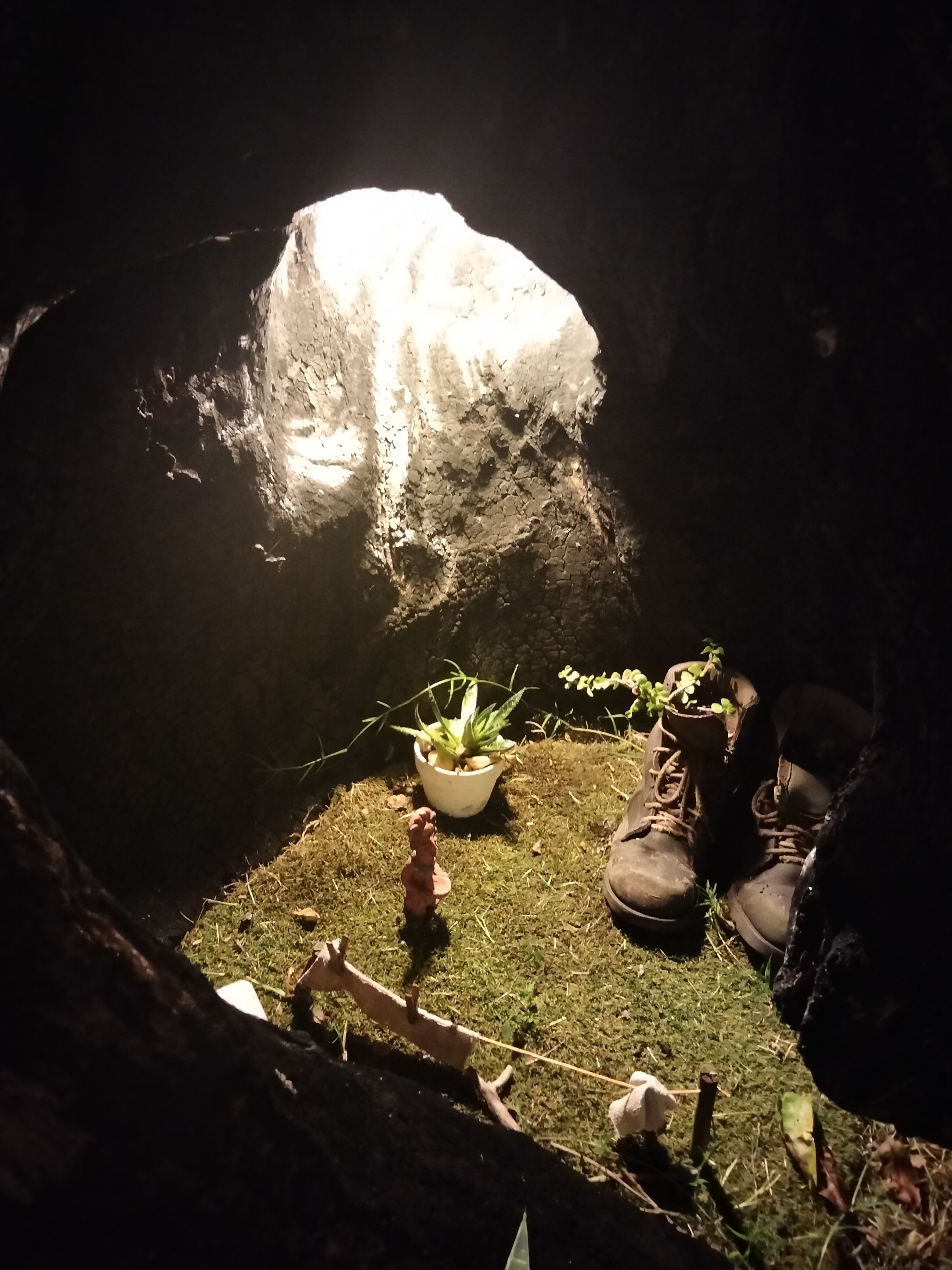 El Jardín del Alux image 7