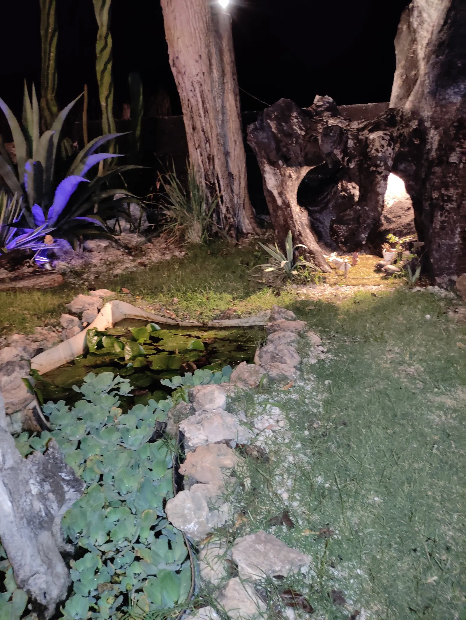 El Jardín del Alux image 9