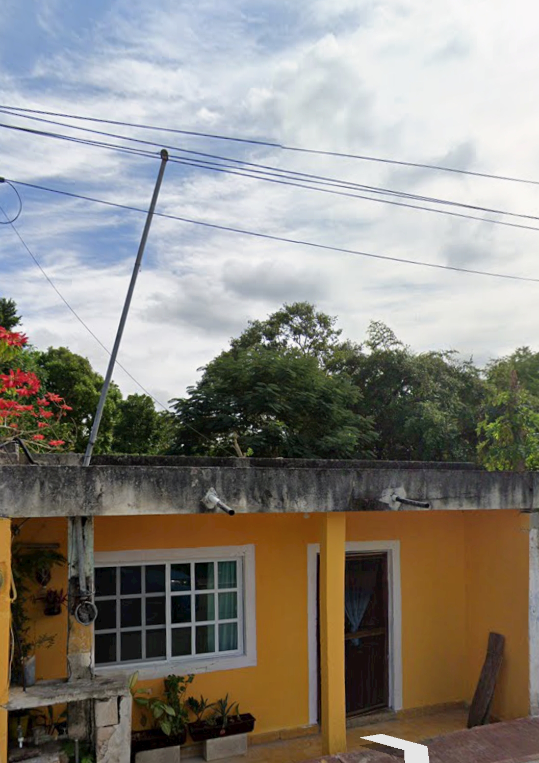 Comida china dragón rojo image 3