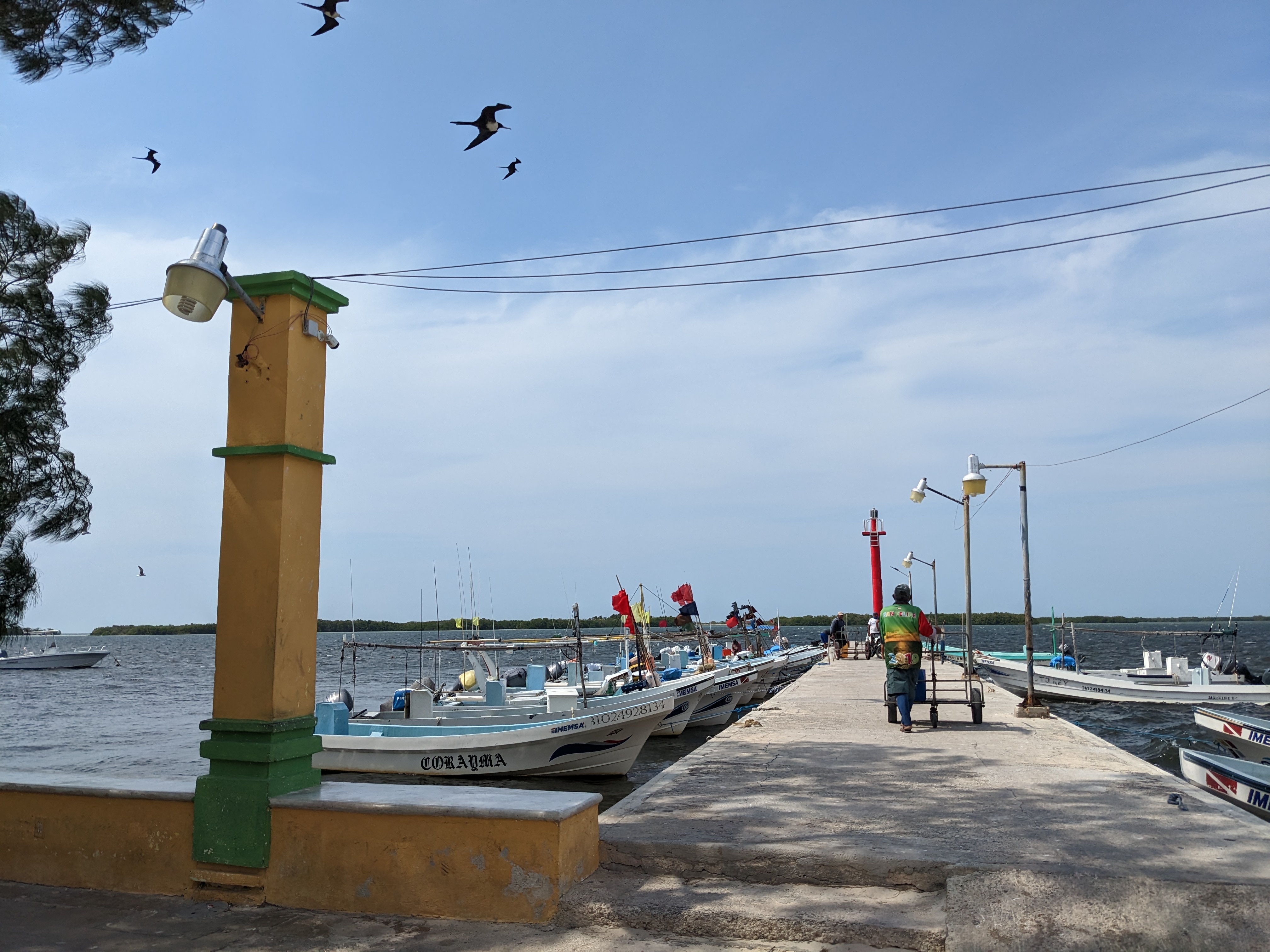 Restaurante Vaselina image 7