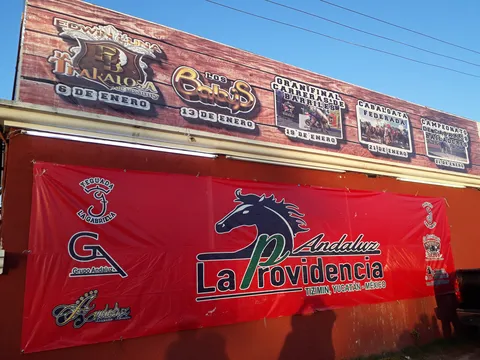 Andaluz La Providencia image 1