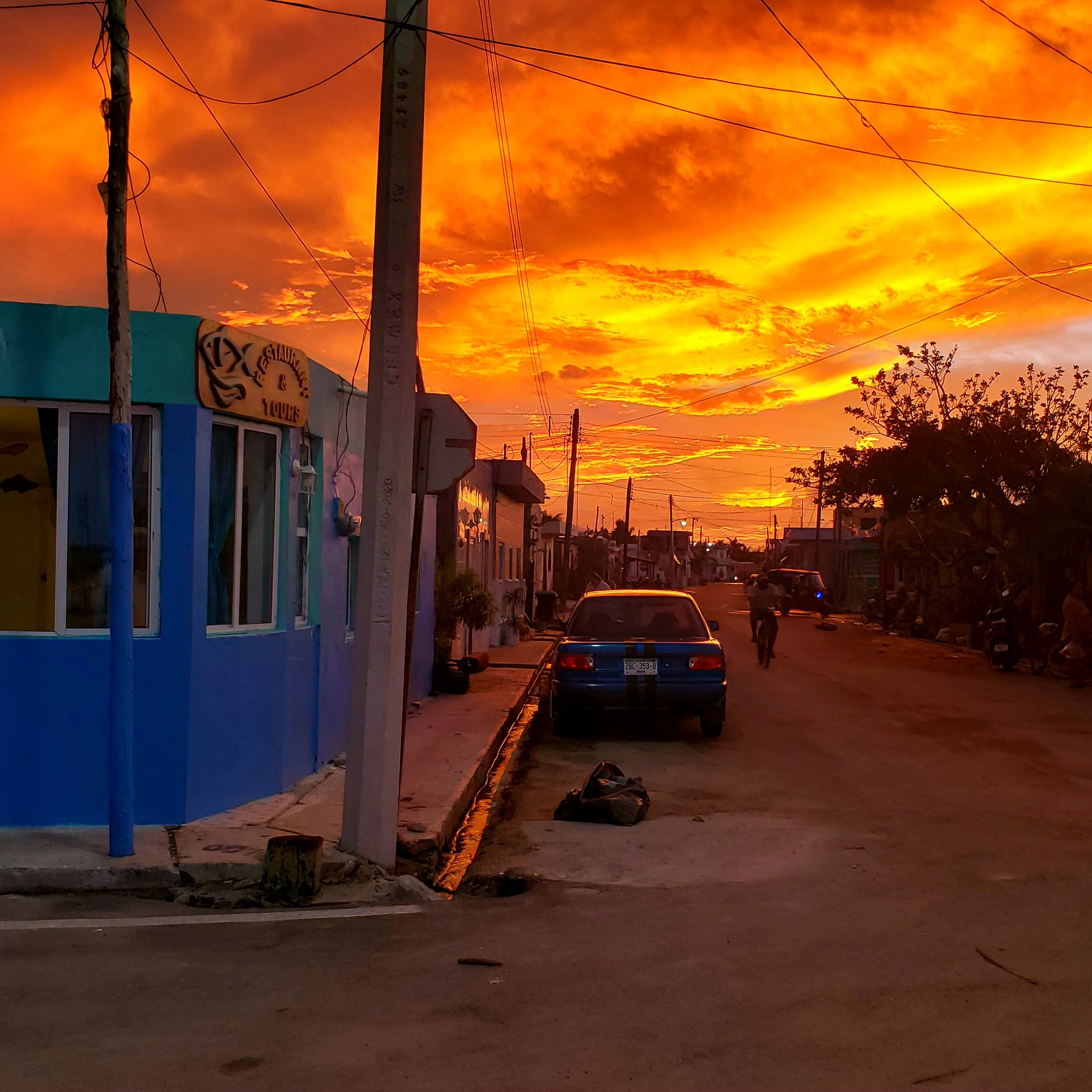 La Mojarrita de Rio Lagartos image 9