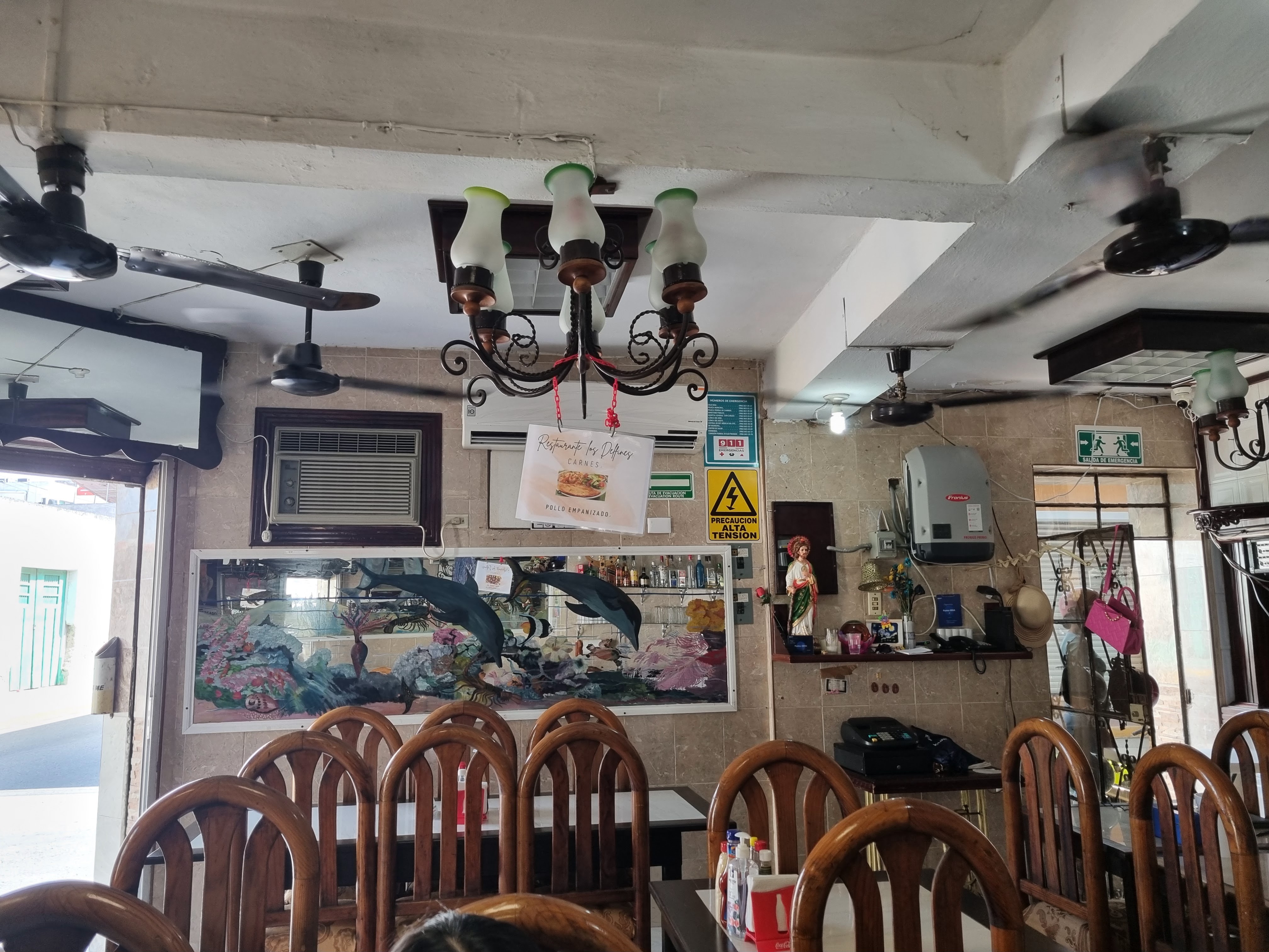 Los delfines image 1