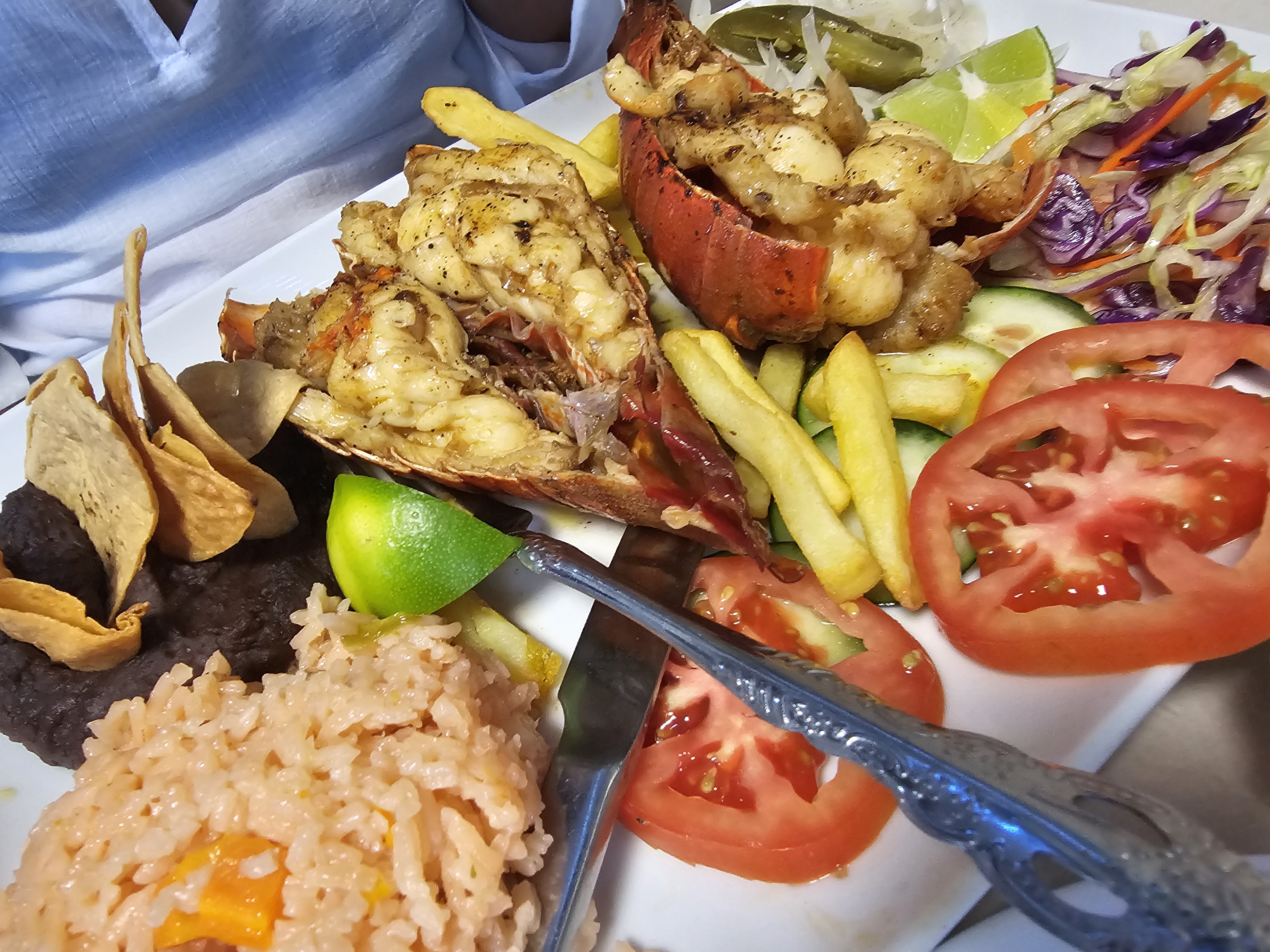 Los delfines image 4