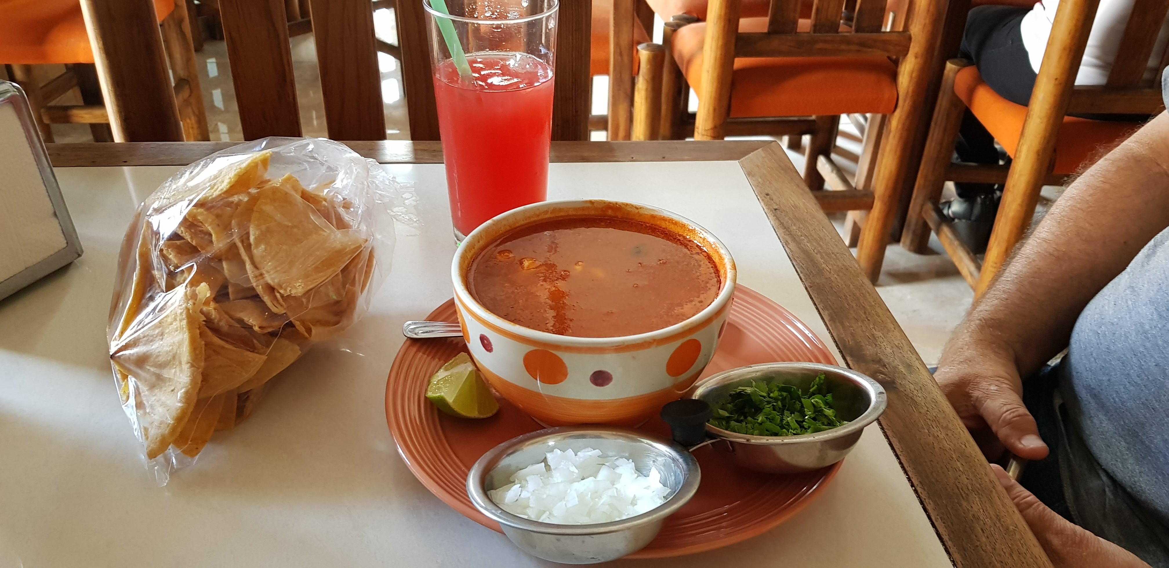 Los delfines image 7