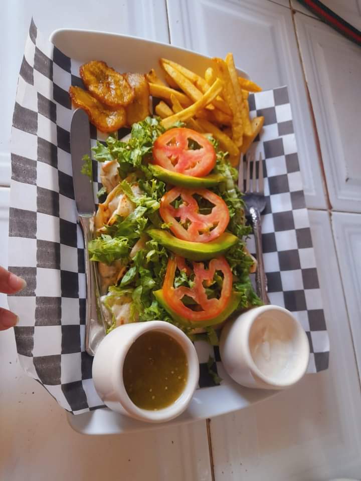 Los delfines image 8