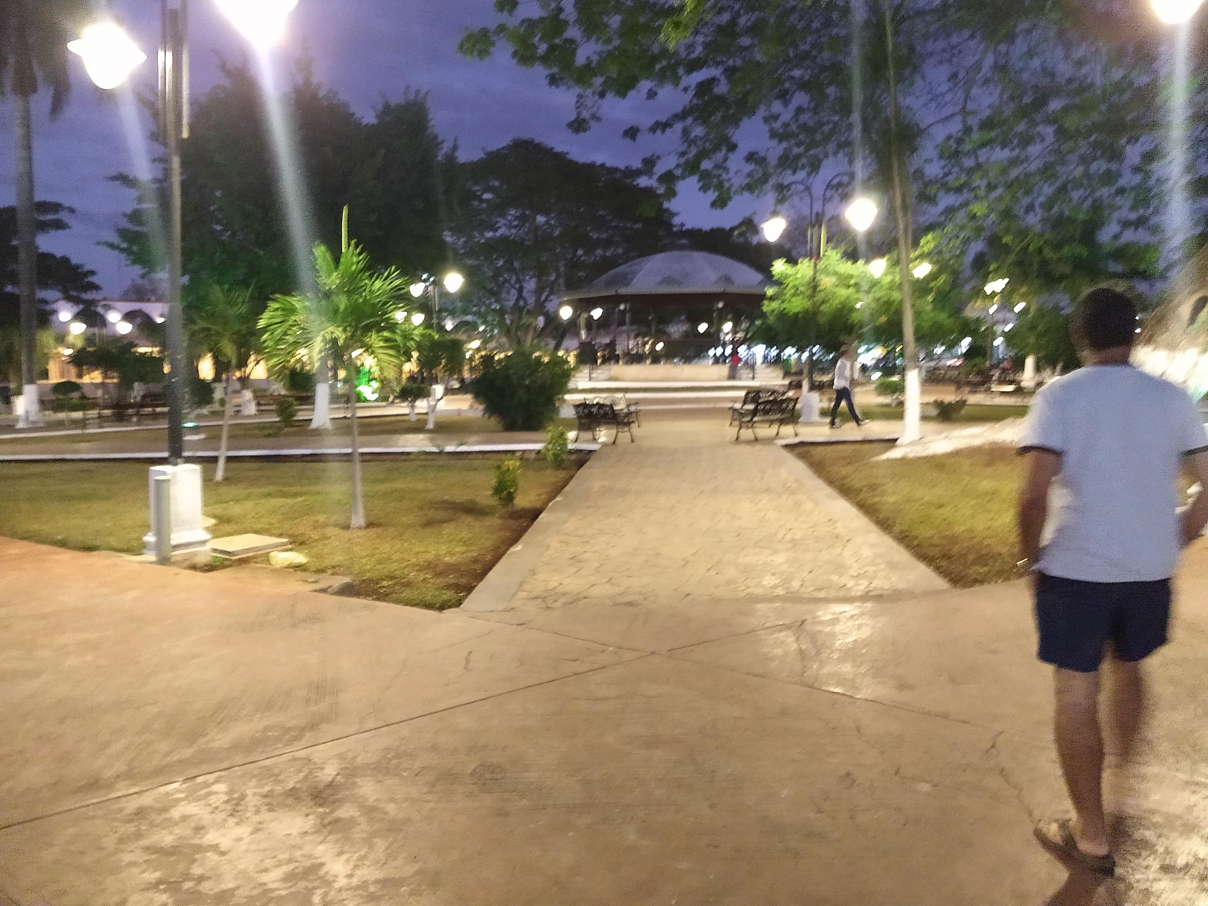 Los delfines image 10