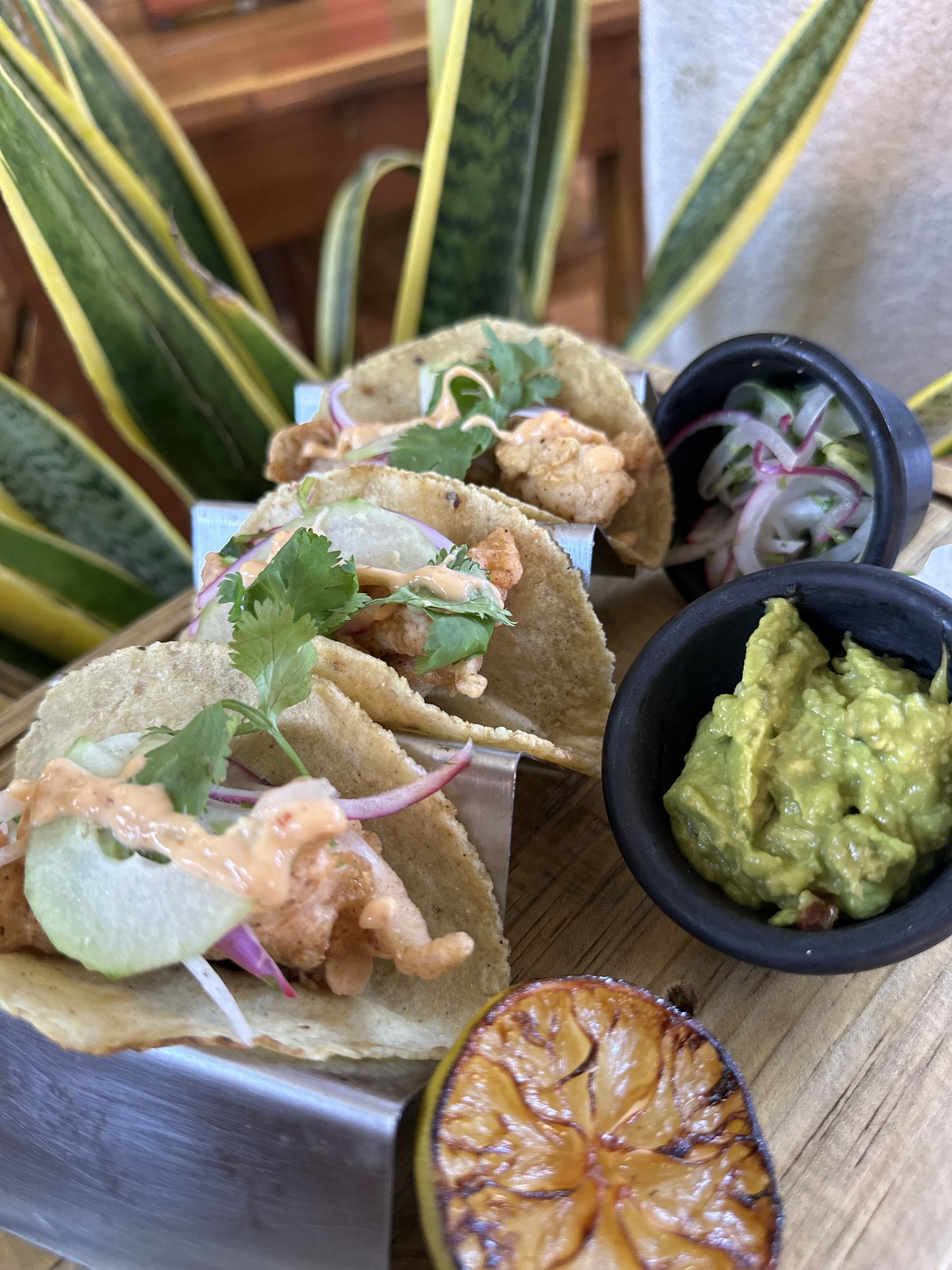 Restaurante el Popular Kiko image 2