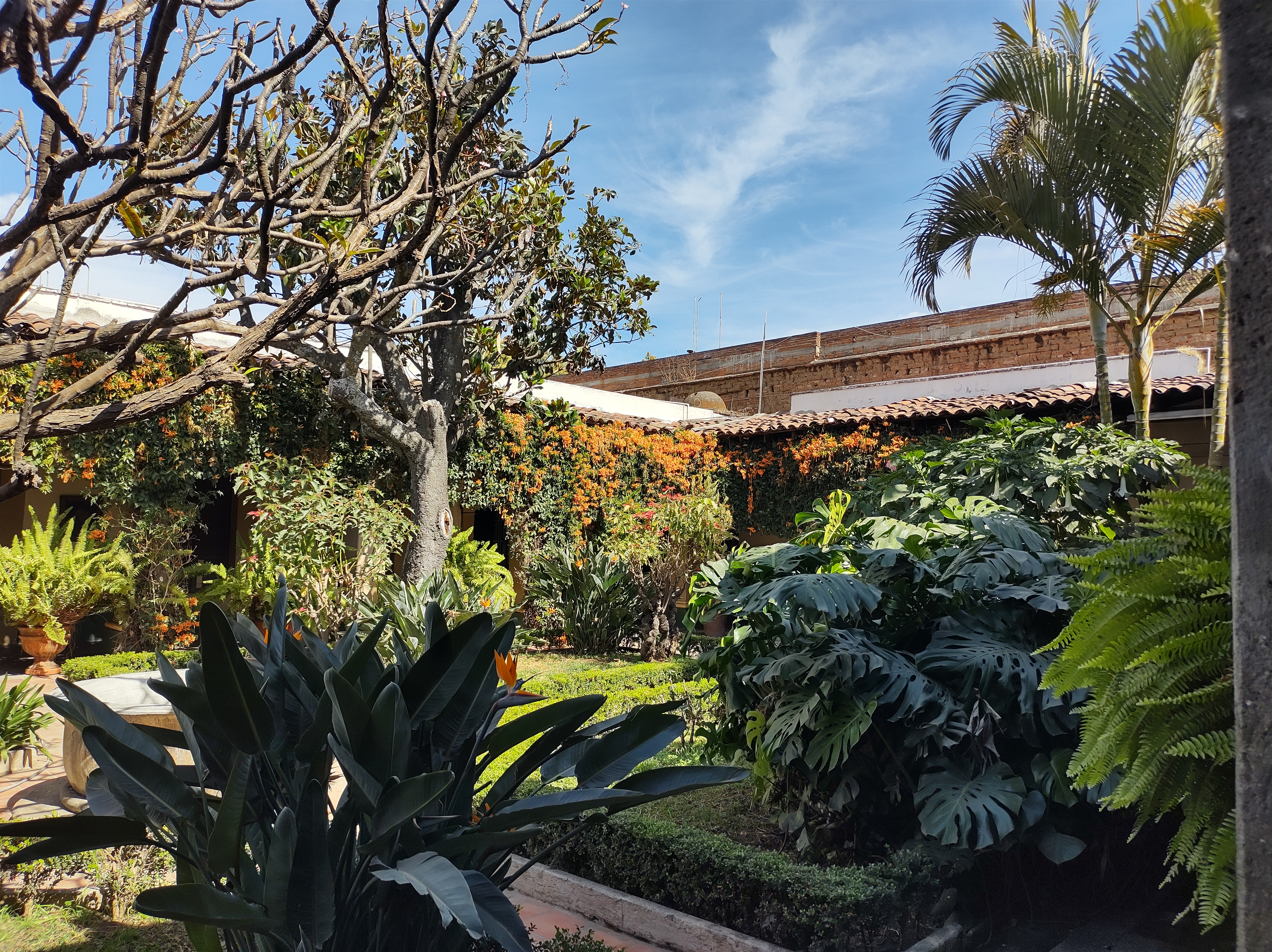 La Casona Restaurante image 10