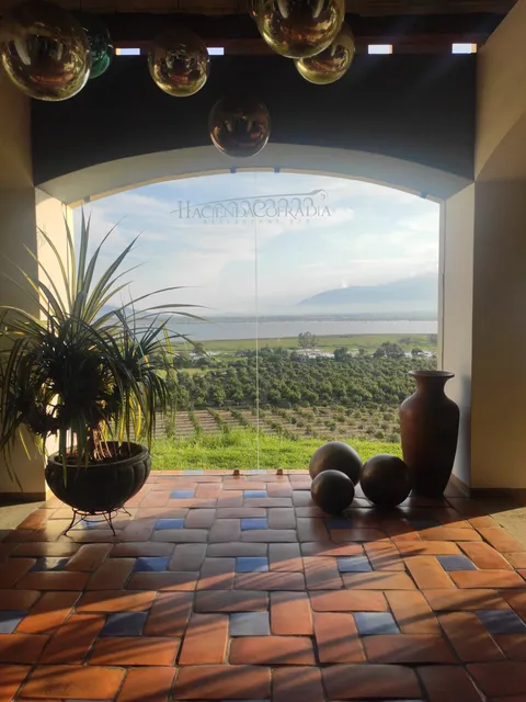 Hacienda Cofradía image 4