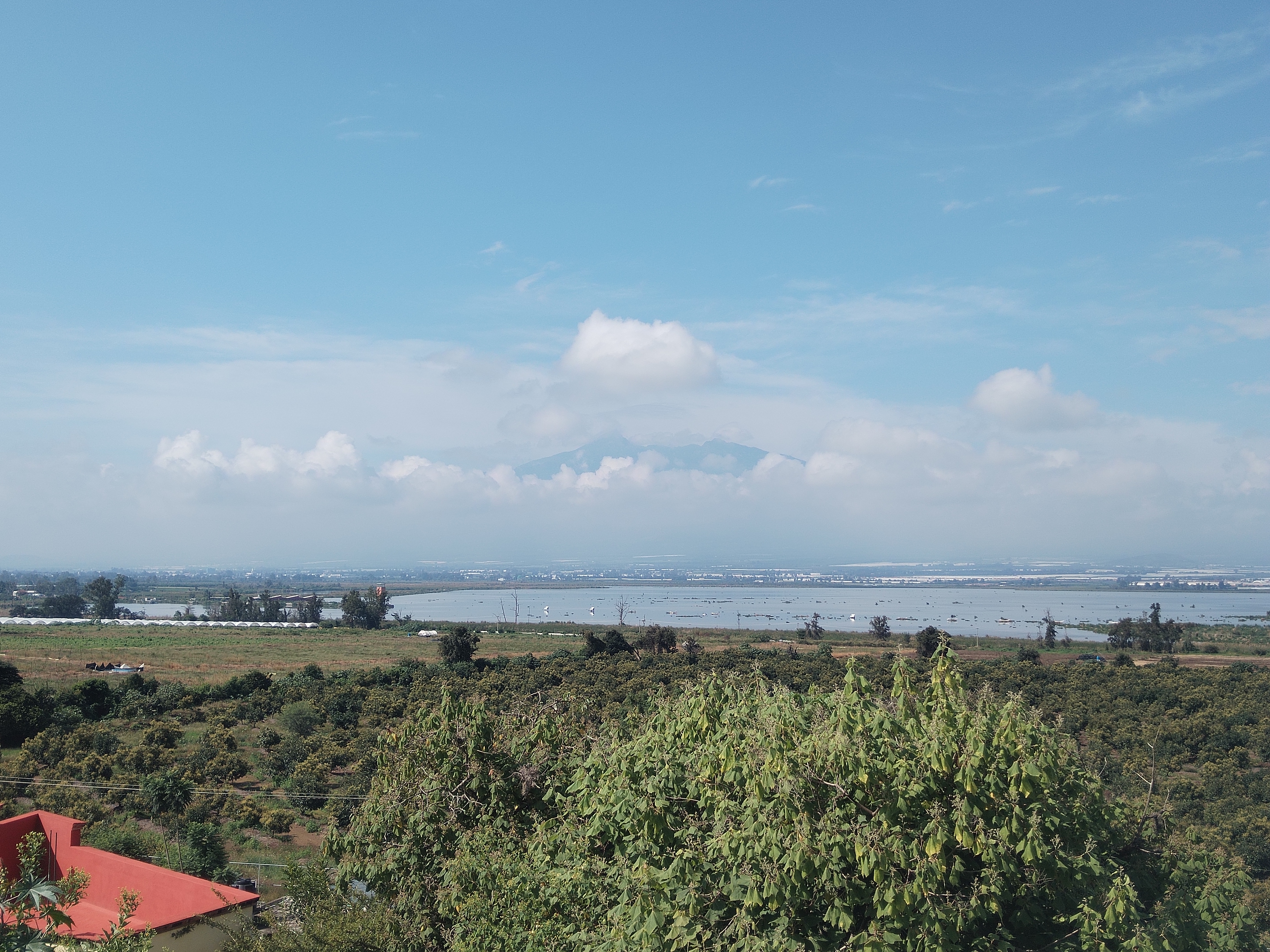 Fortune Lookout Restaurant image 3