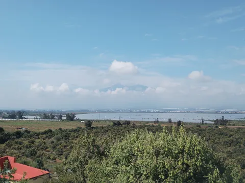 Fortune Lookout Restaurant image 3