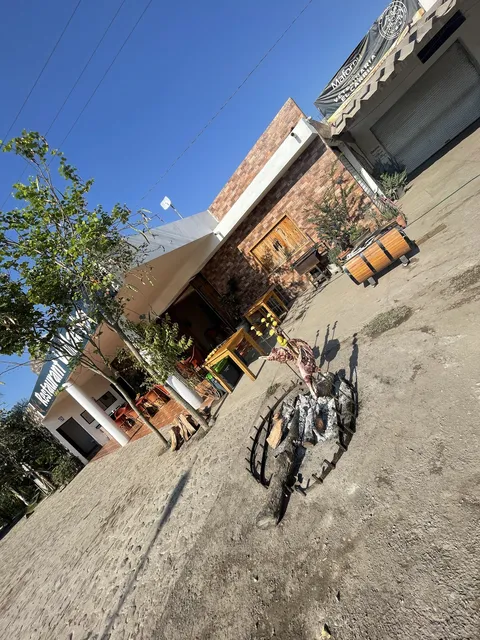 Vallarta image 5