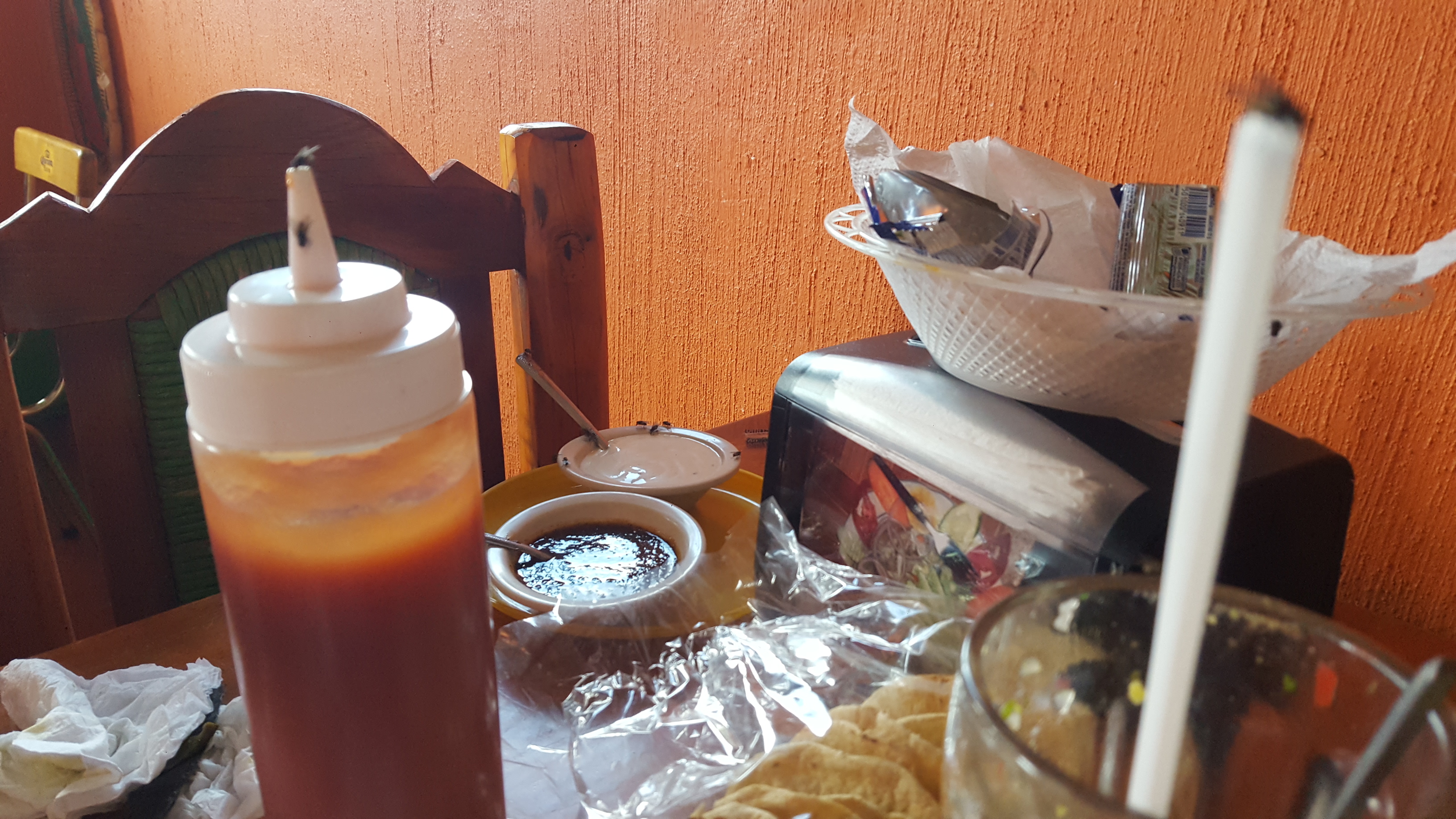 Vida del Mar image 5