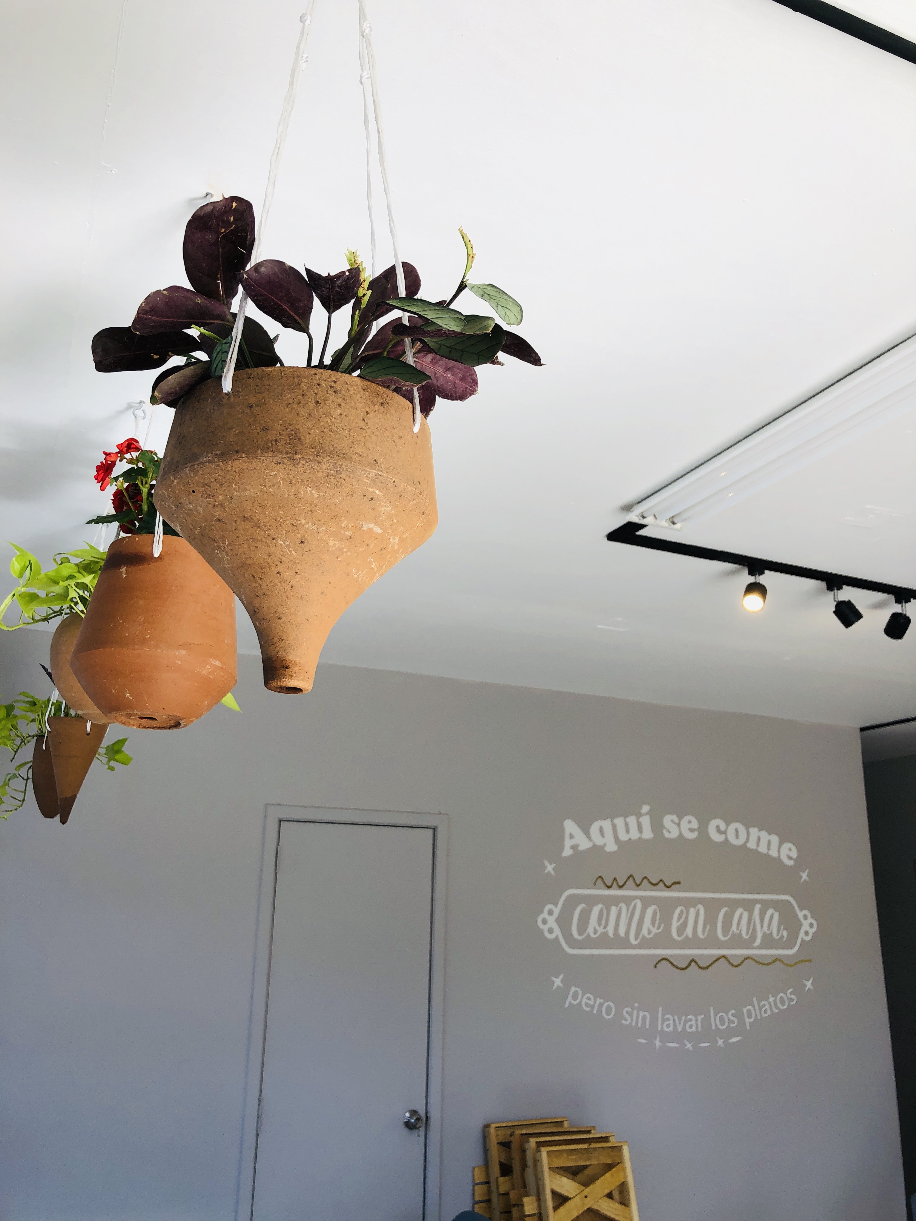 RESTAURANTE PAVINO image 9