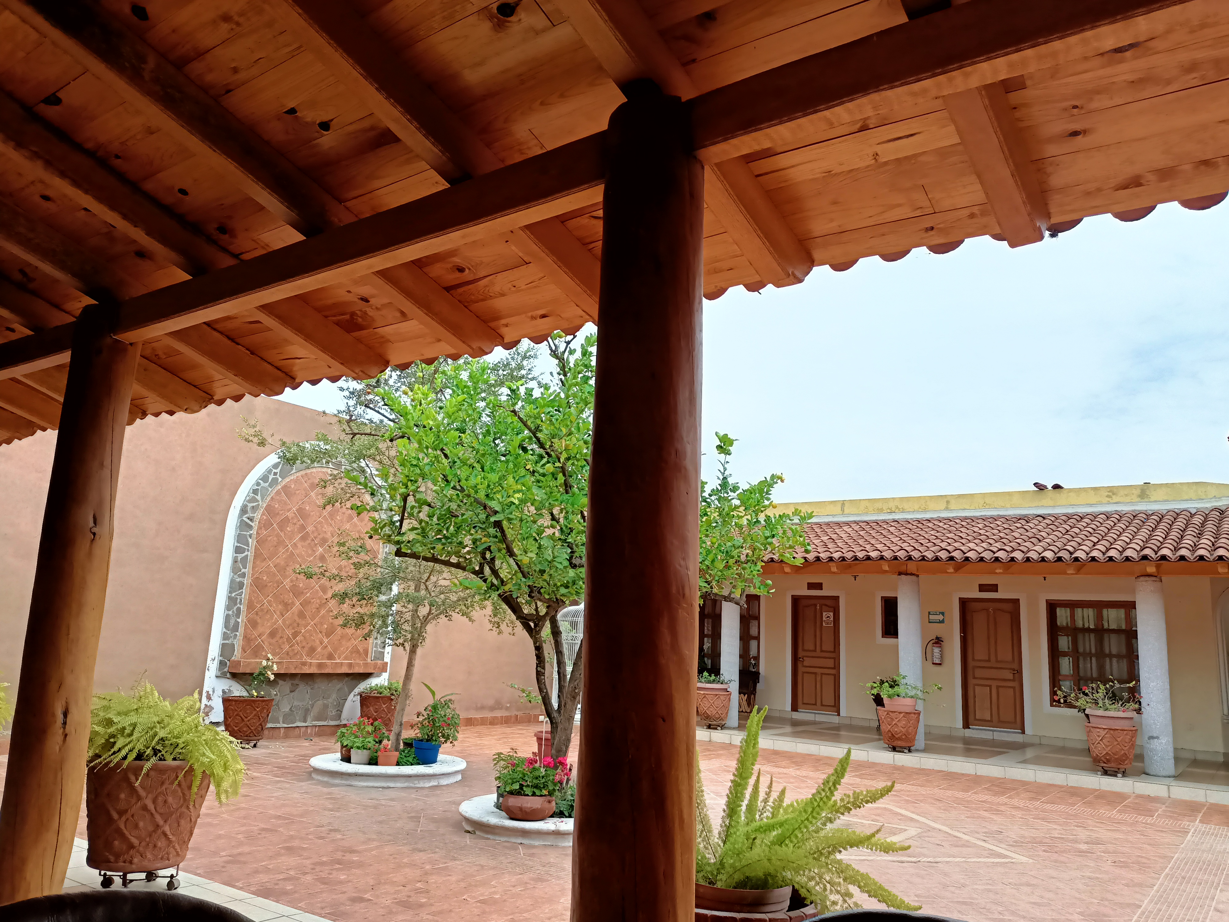 Restaurante los Olivos image 3