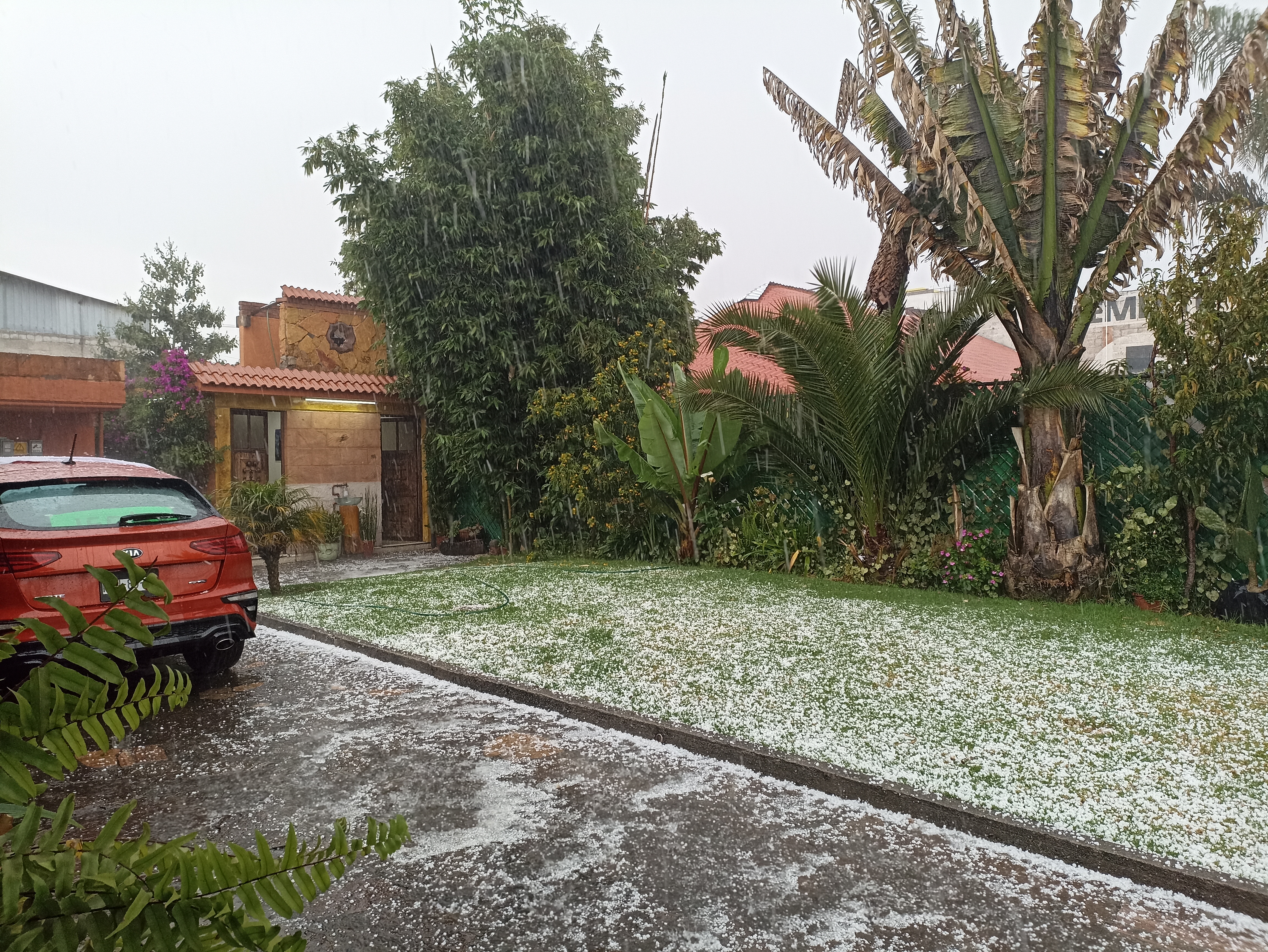 Restaurant "el nevado" image 7