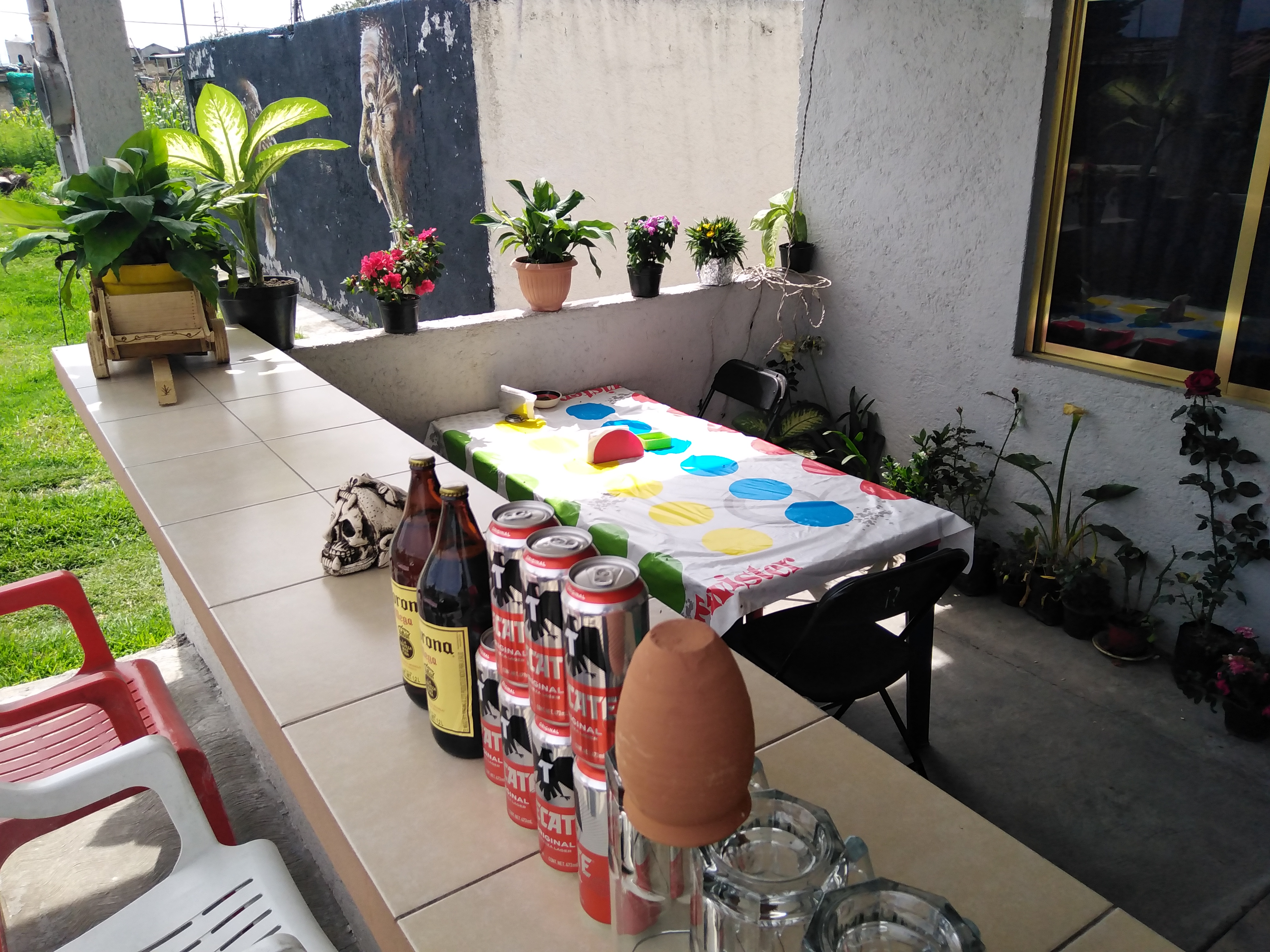 Pancita la placa image 1