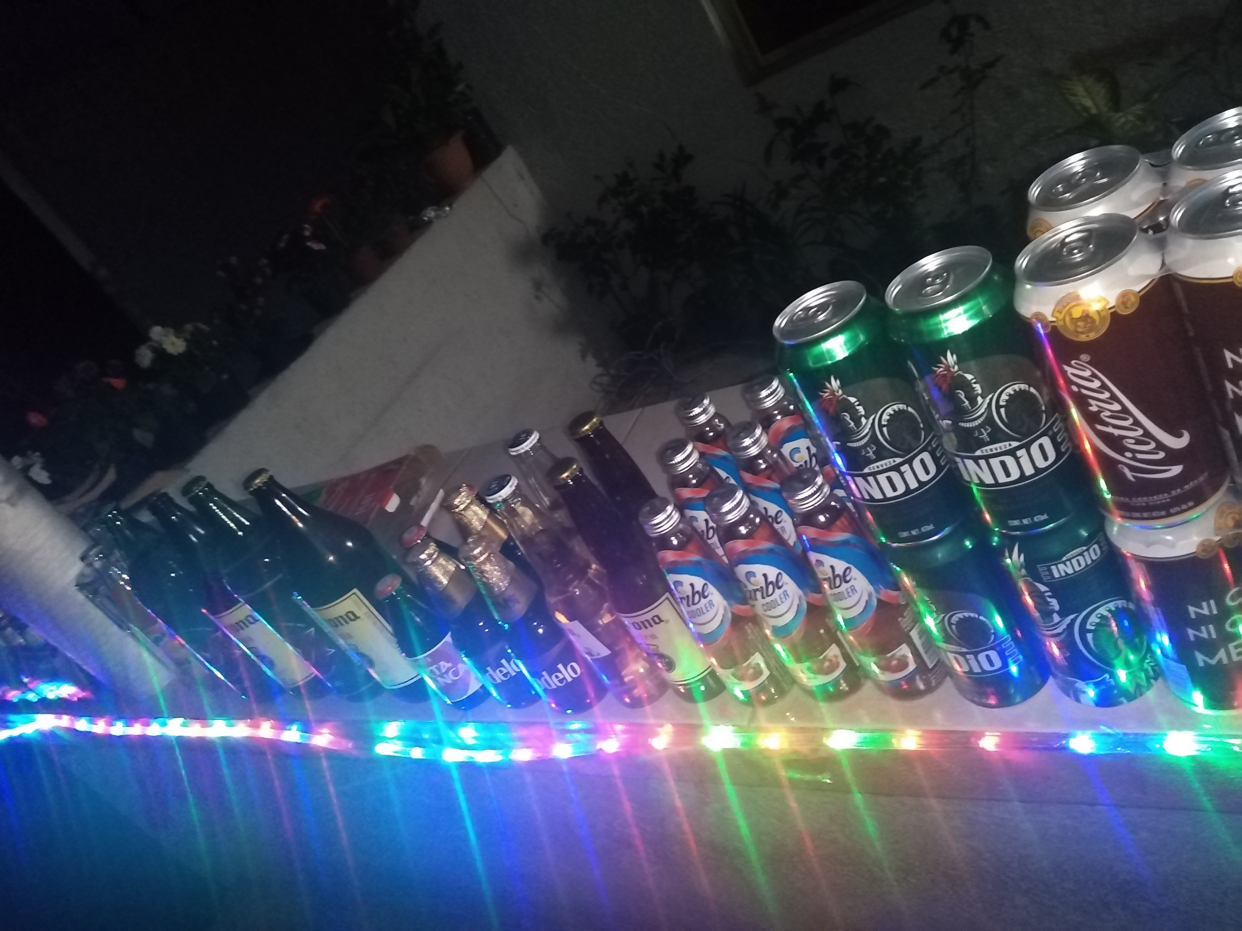 Pancita la placa image 3