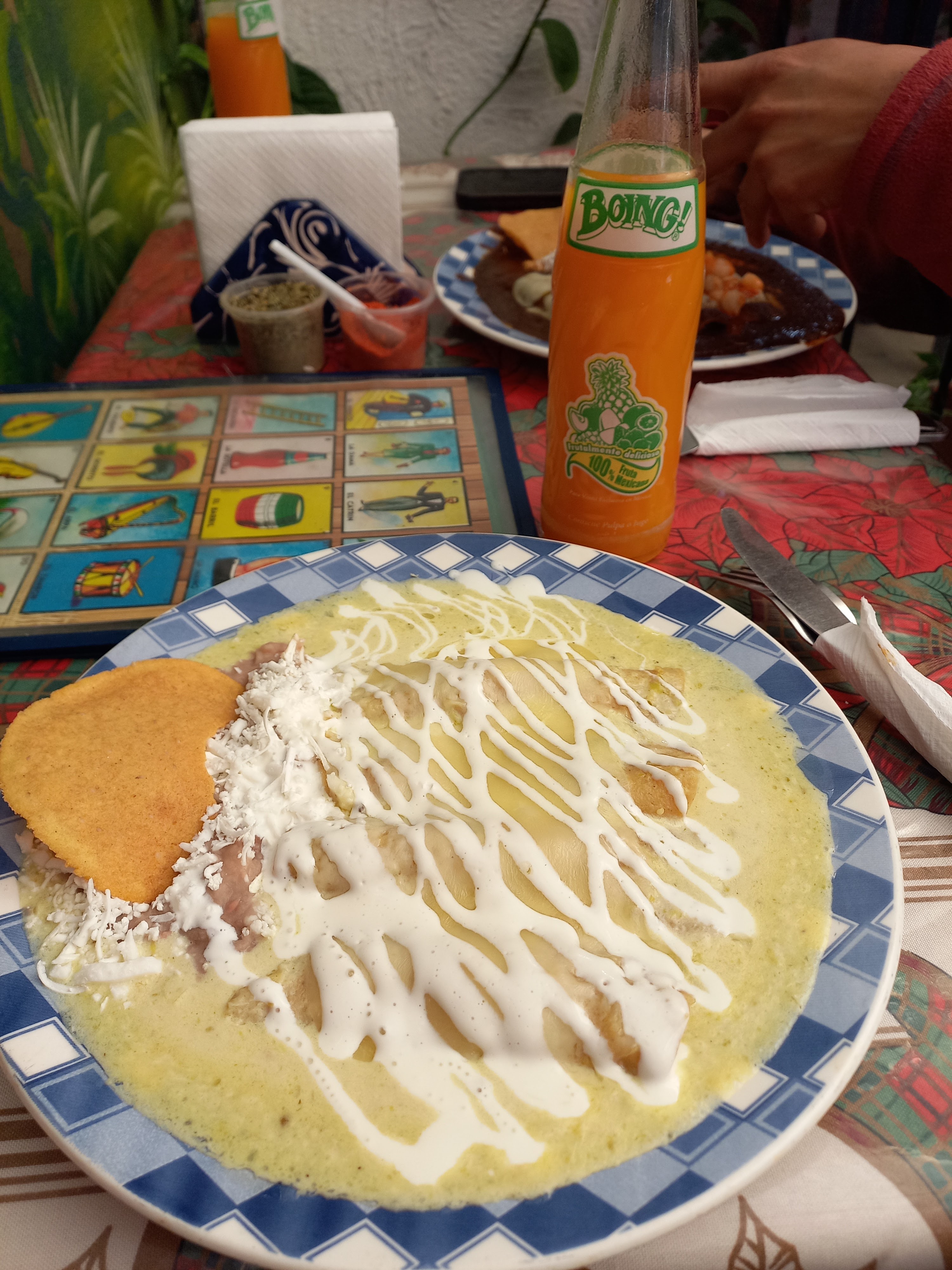 "El Mexicanisimo" image 5