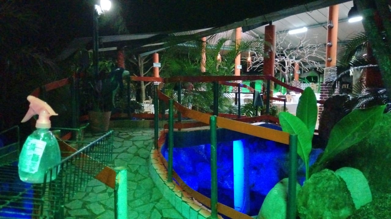 Quinta Las Palmas image 5