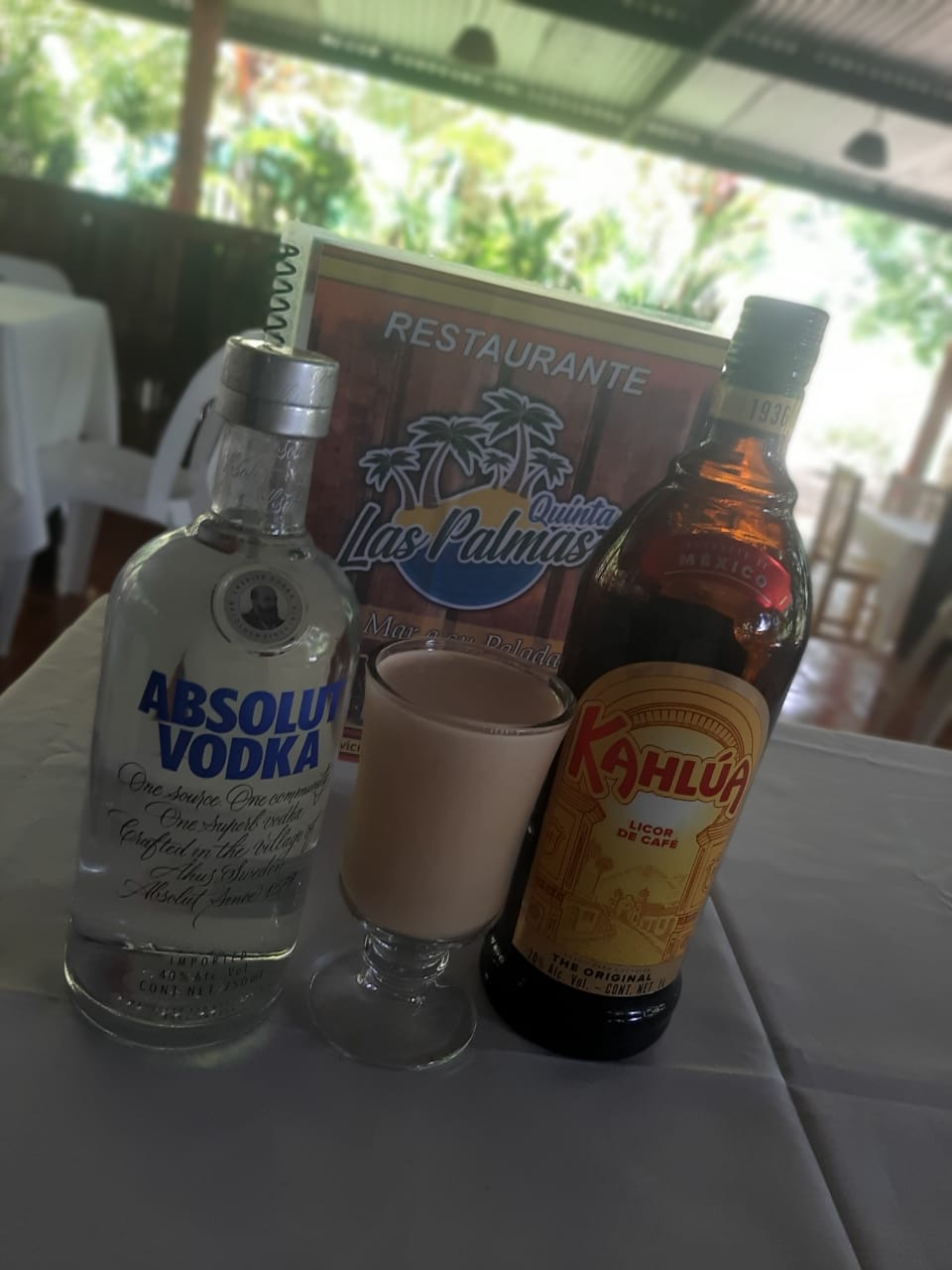 Quinta Las Palmas image 8